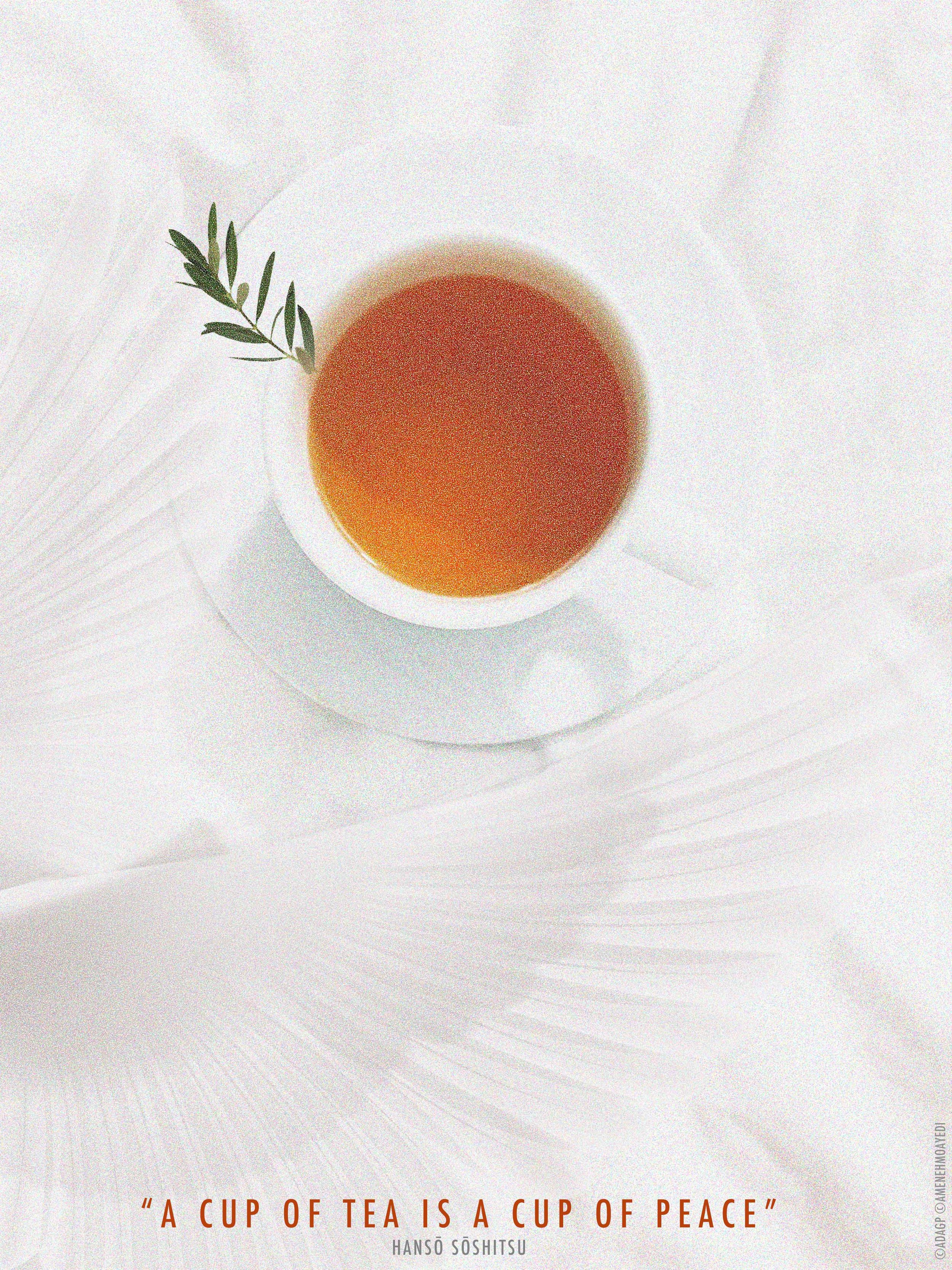 “A cup of tea is a cup of peace.”_Aménéh Moayedi_Iraniene_amenehmoayedi@yahoo.fr_Professional.jpg