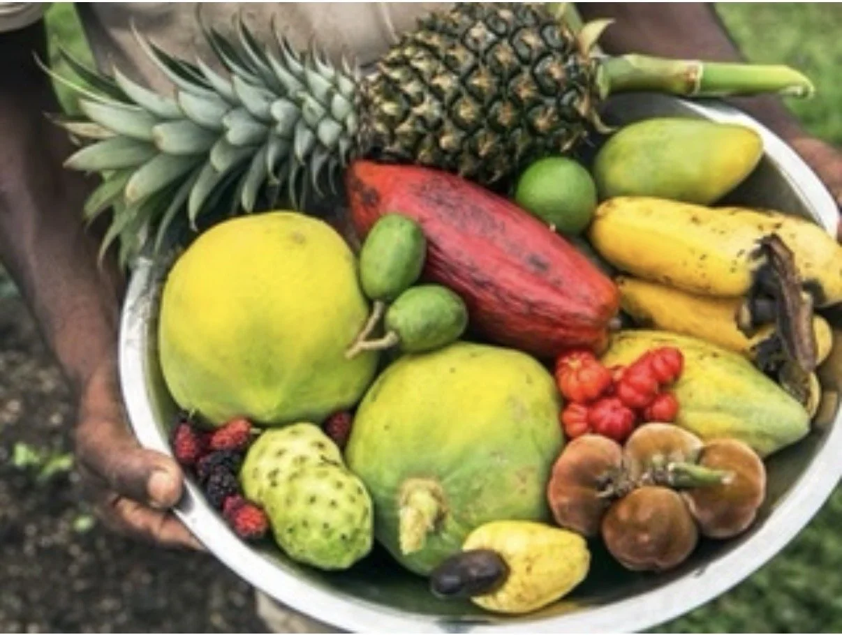 fruit bowl copal trree lodge.jpg
