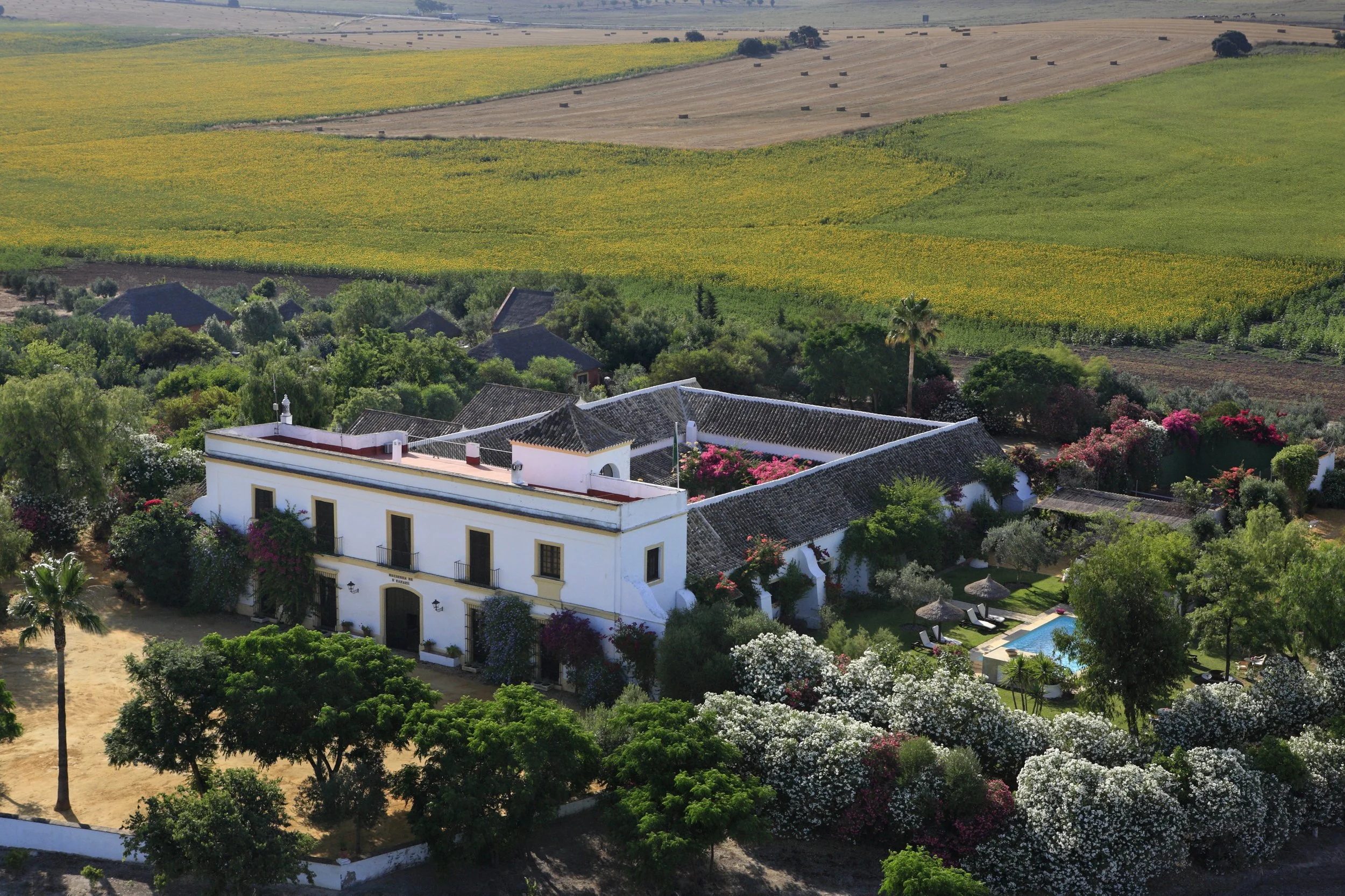 SPAIN
