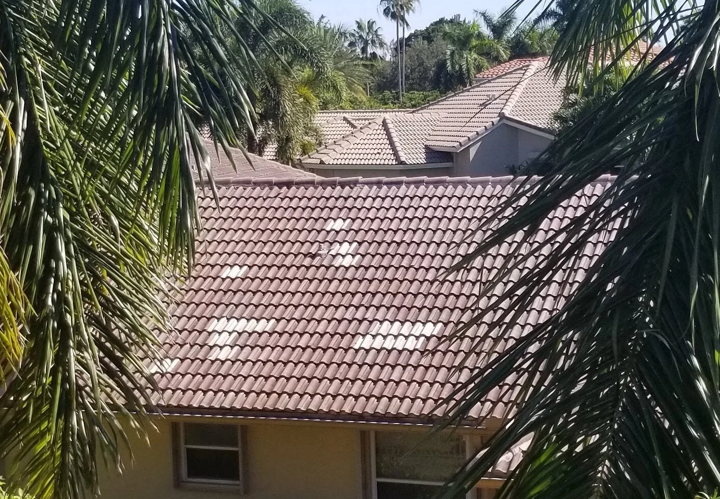 Mismatched roof tiles.jpeg