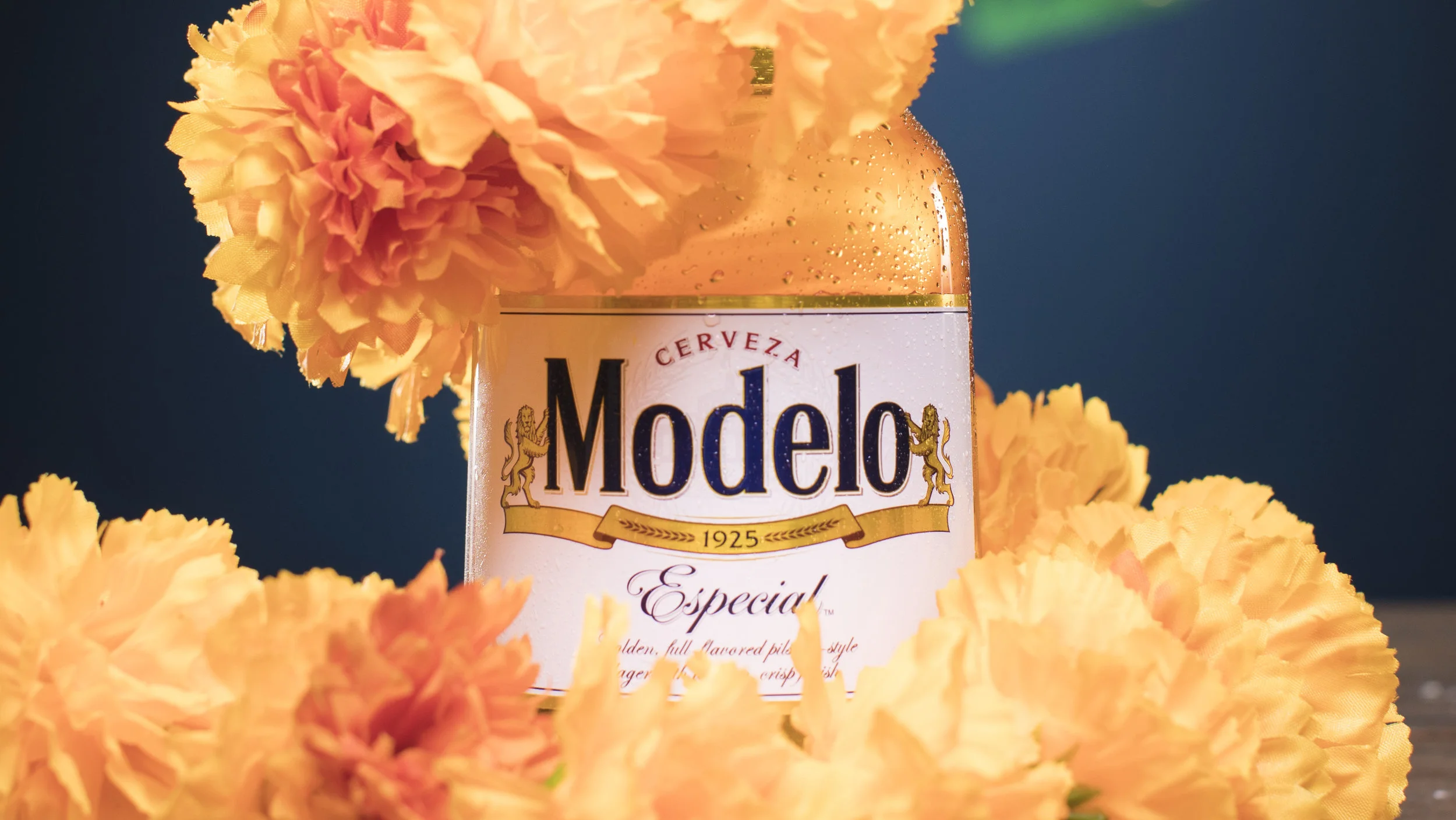 Modelo_Thumb3.jpg