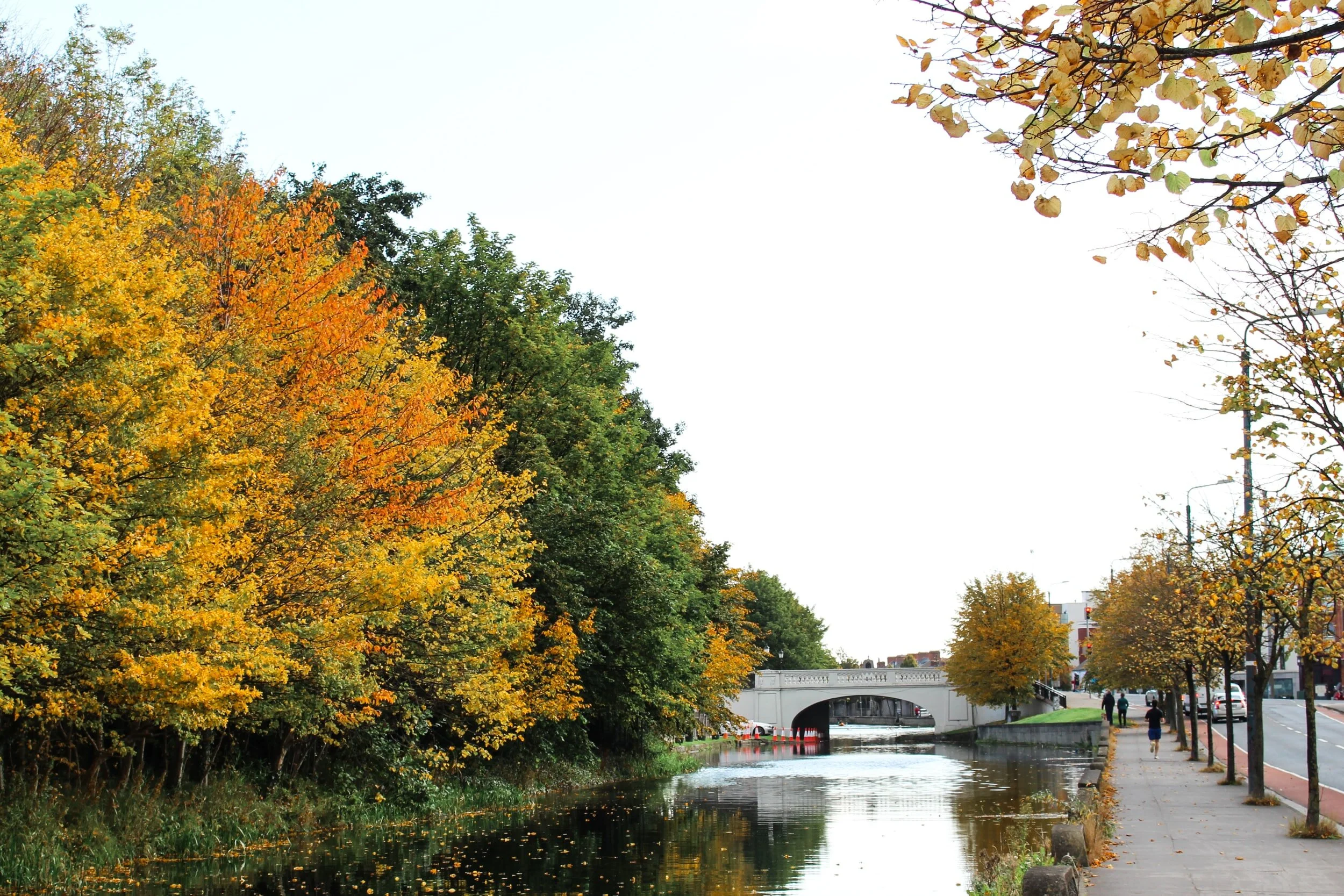 The canal near Harold's Cross, Dublin. The Coop's location.