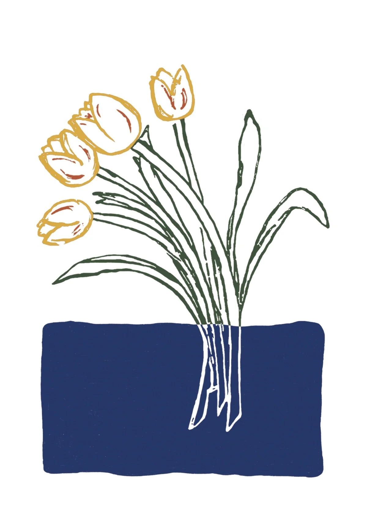 Tulip Illustration