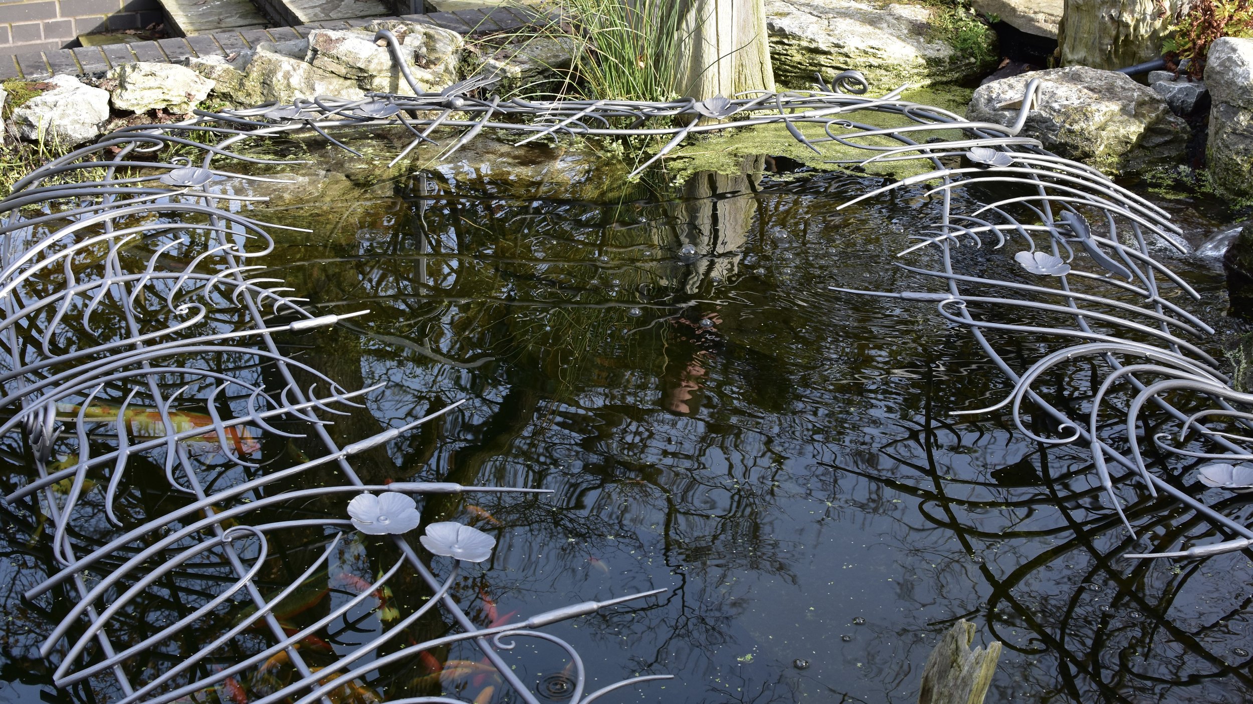 DSC_0072.JPG