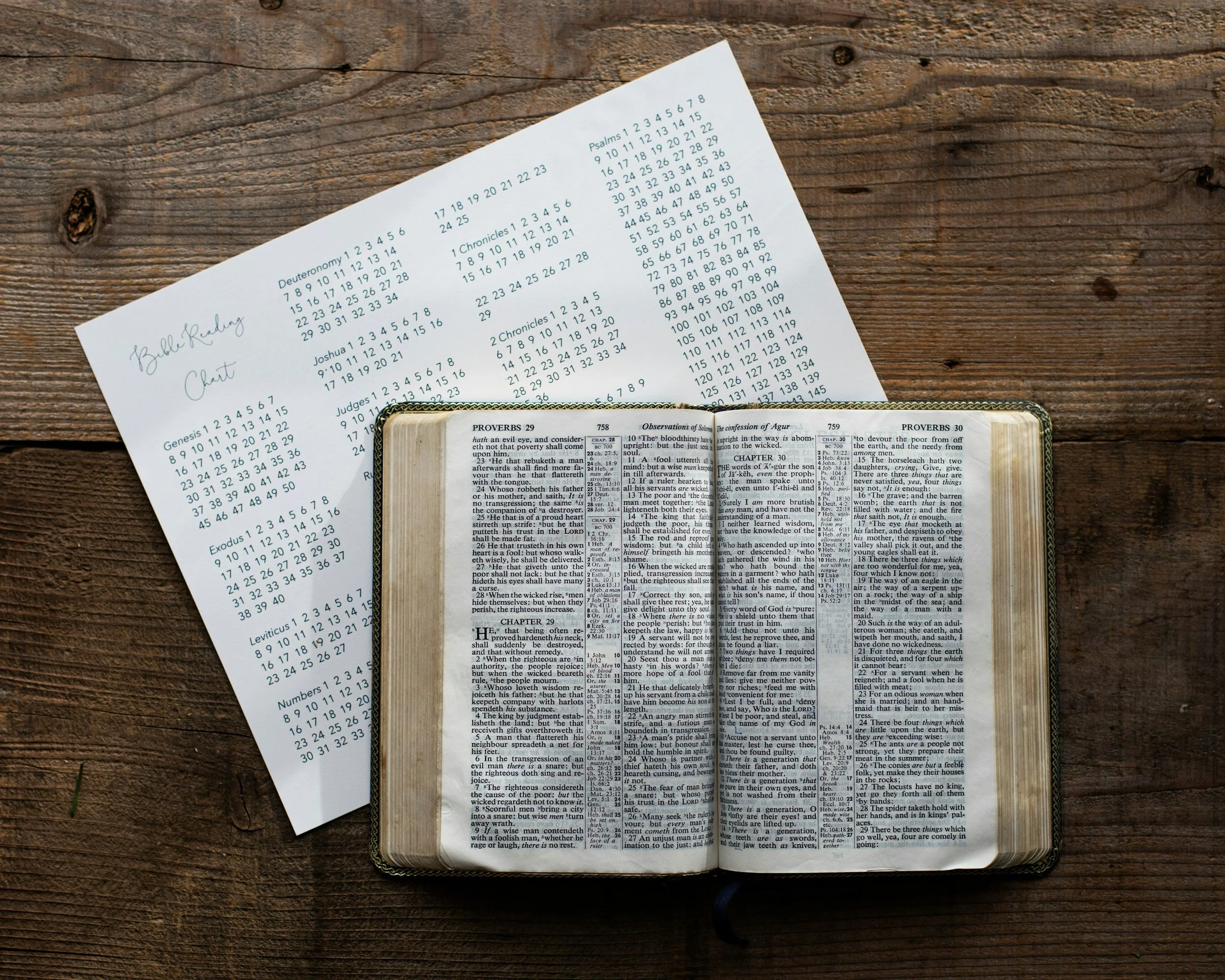 The Bible In One Year | Reece's Peaces 