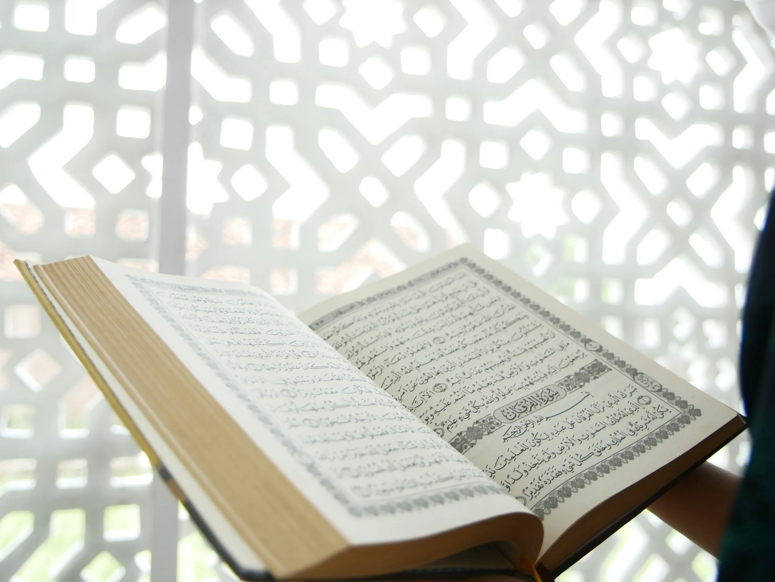 What Is The Torah? | Reece's Peaces
