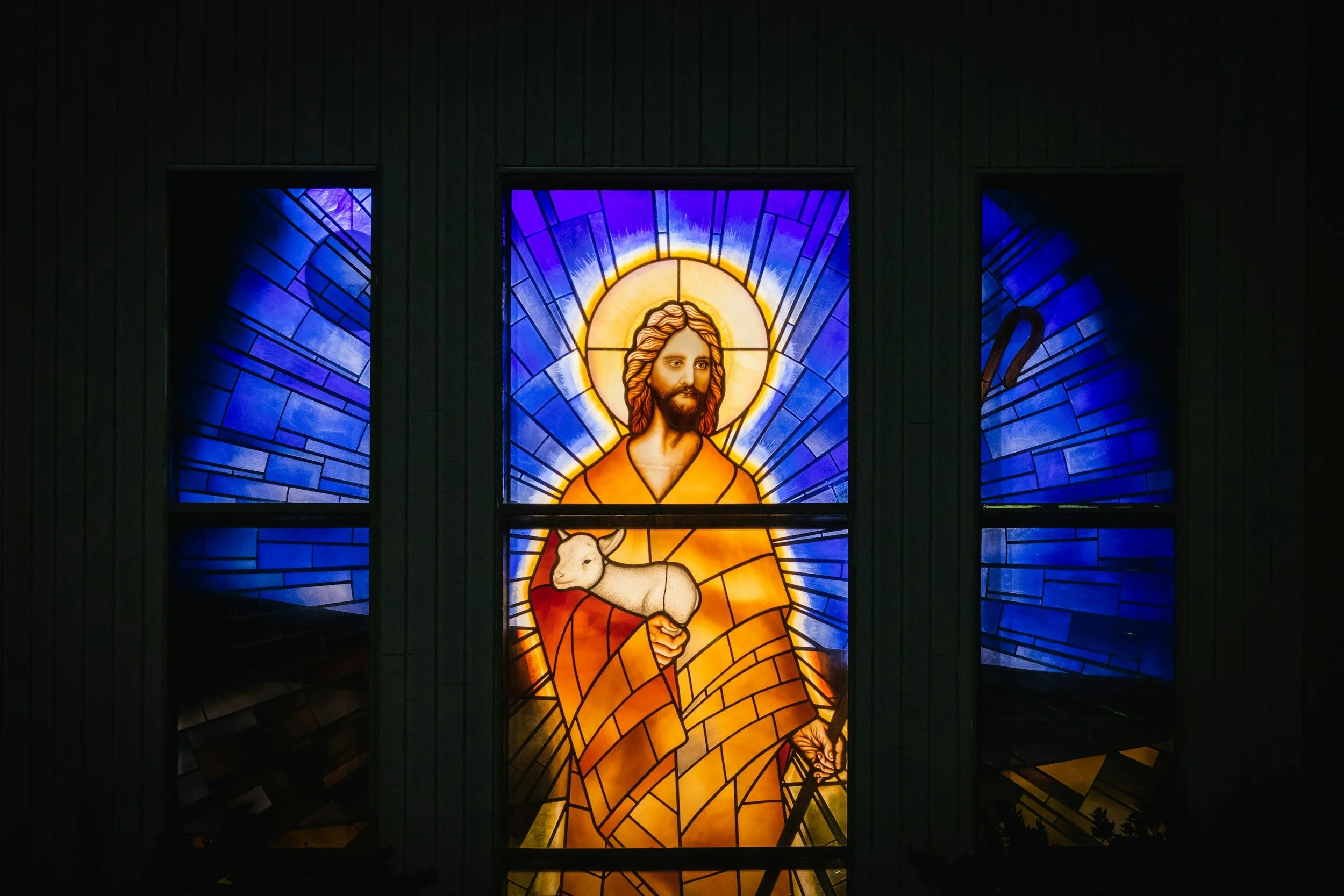 Psalm 23 | The Bible In 1 Year | Rev. Jackie Ward | 8.2.26