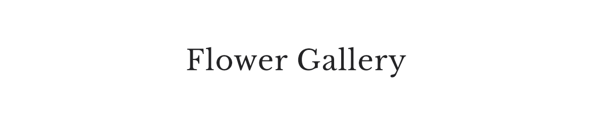 abstractgallery.png