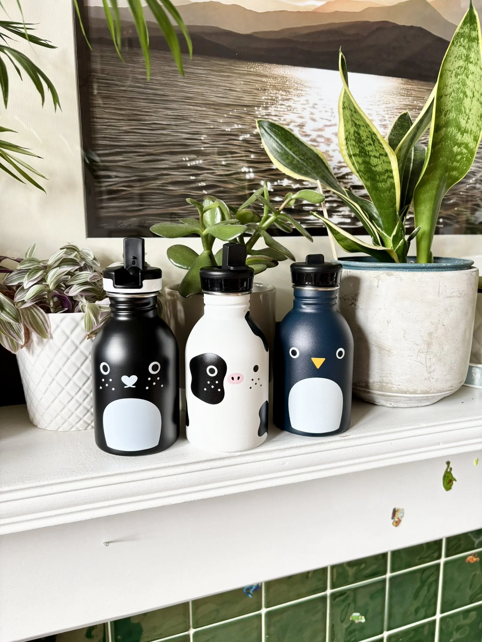 Noodoll bottles Rice penguin Ricecow Rice cube.JPEG