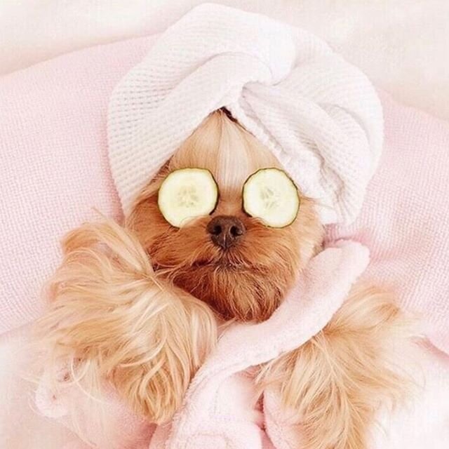 MONDAY (of a long weekend) MOOD🧖🏼&zwj;♀️
-
To anyone who&rsquo;s reading this, we hope you have a magical and beautiful day💫
-
📸 @moidabord.ca

#essentialplatform #selflove #selfcare #mondaymood #positivevibes #dailyinspiration #growthmindset #go