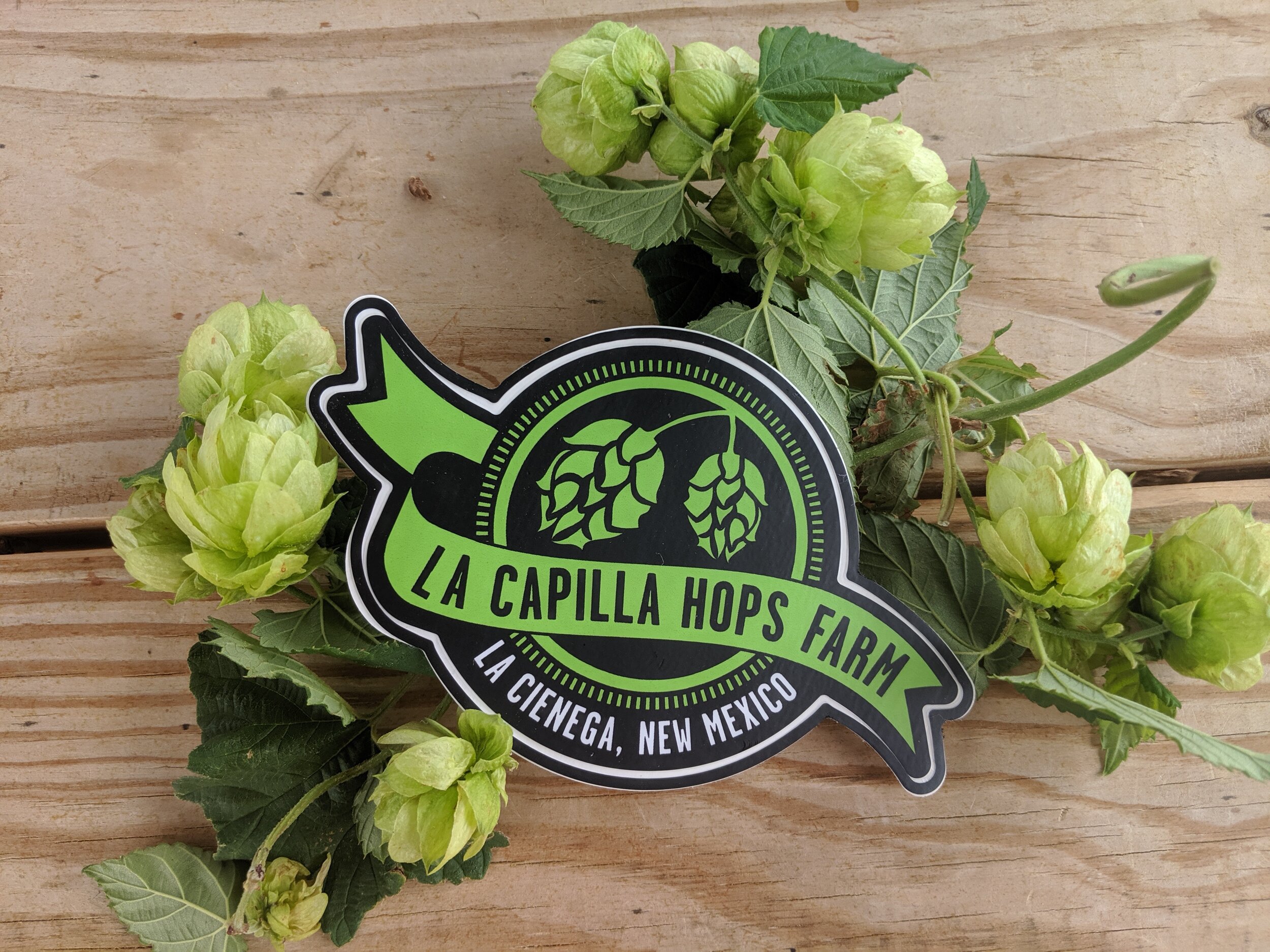 HopStickersPhoto.jpg