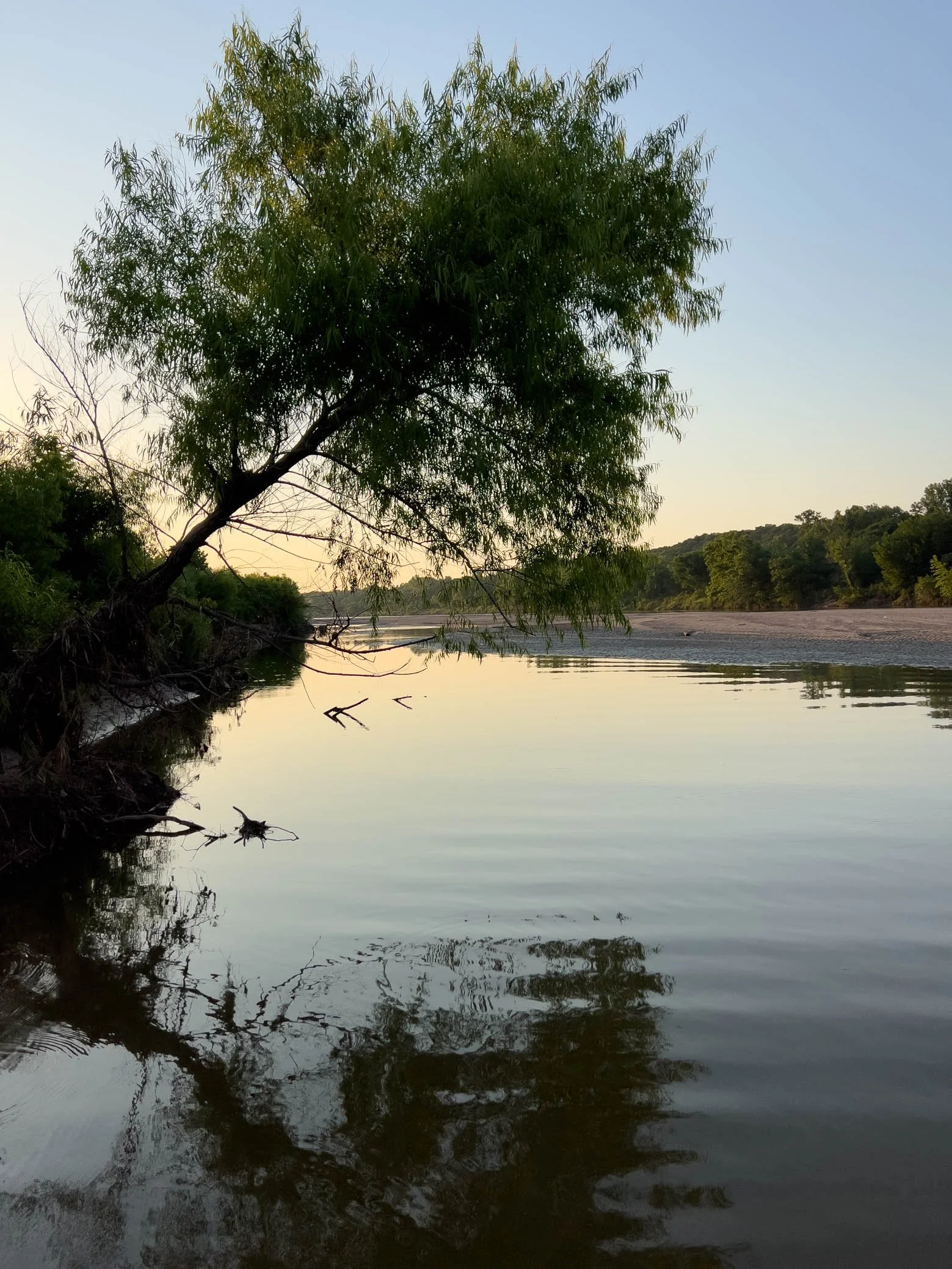 Understanding the Basics: A Guide to Common Image File Formats in ...