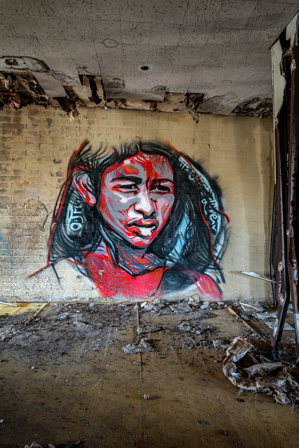 Murals in an abandoned Native American Boarding School. Aside from basic color and contrast adjustments, no changes were made to the original image.