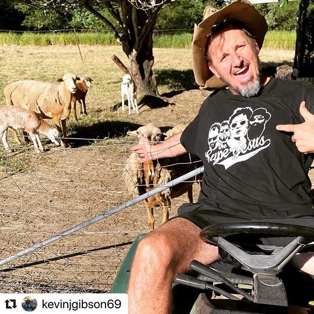 Look at this legend with his ride on and sheep #australianmusictshirtday @kevinjgibson69 ❤️