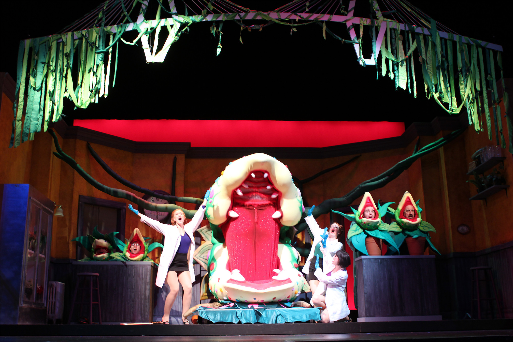 photo by Beth Curley/Julian Wiles Little Shop of Horrors , 2015 playing Orin, the dentist