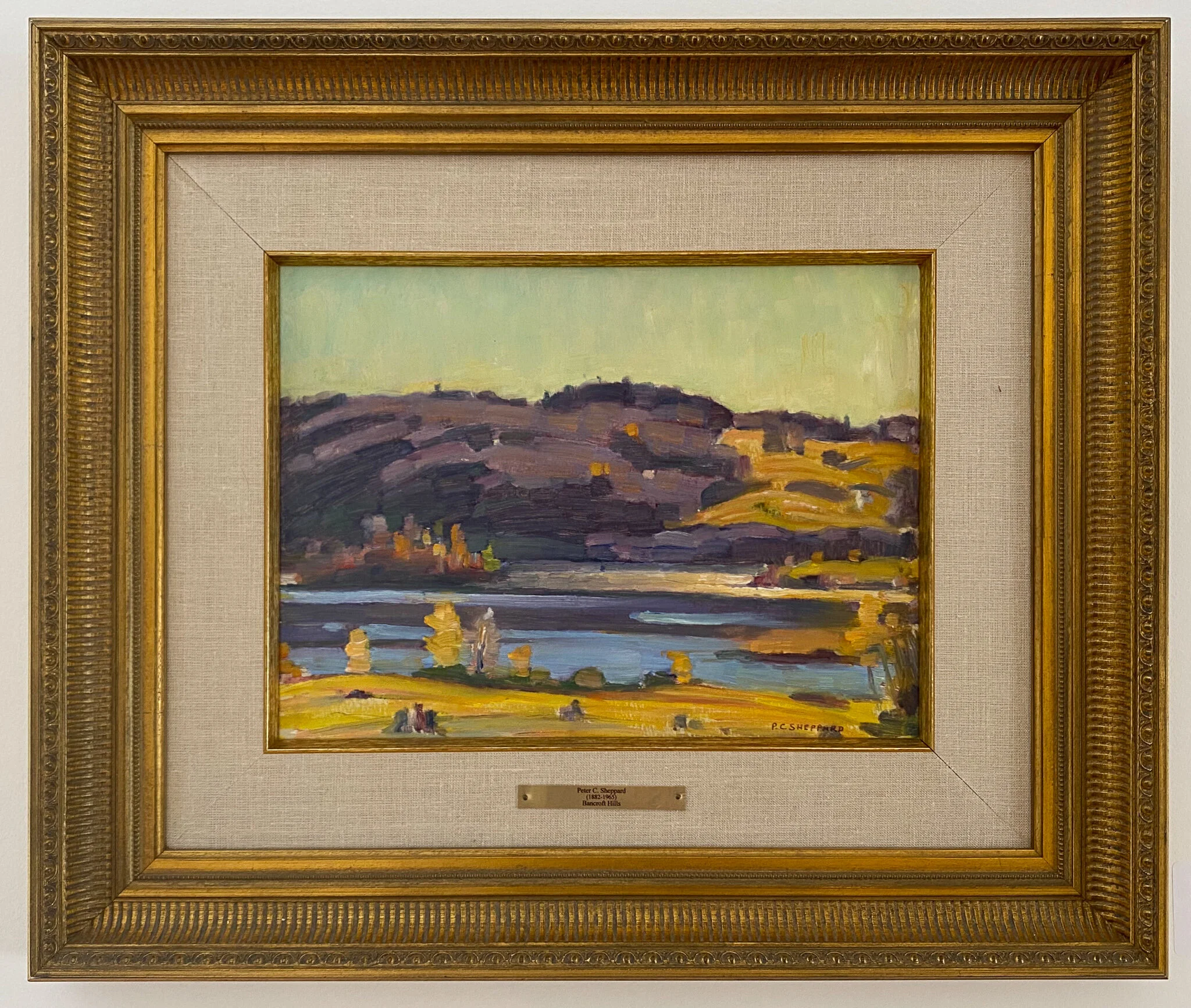 Bancroft Hills by Peter Sheppard