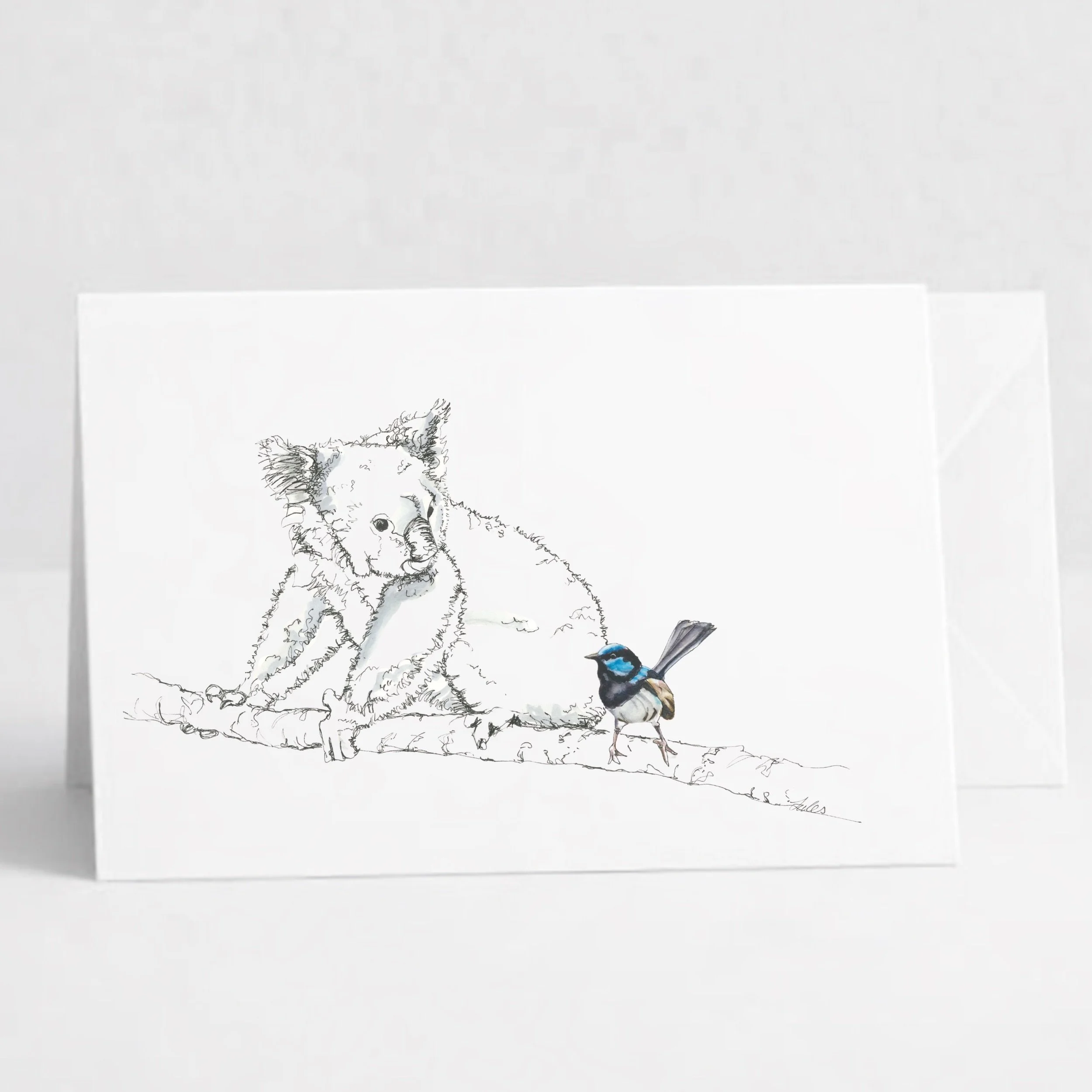 Koala and Wren.jpeg