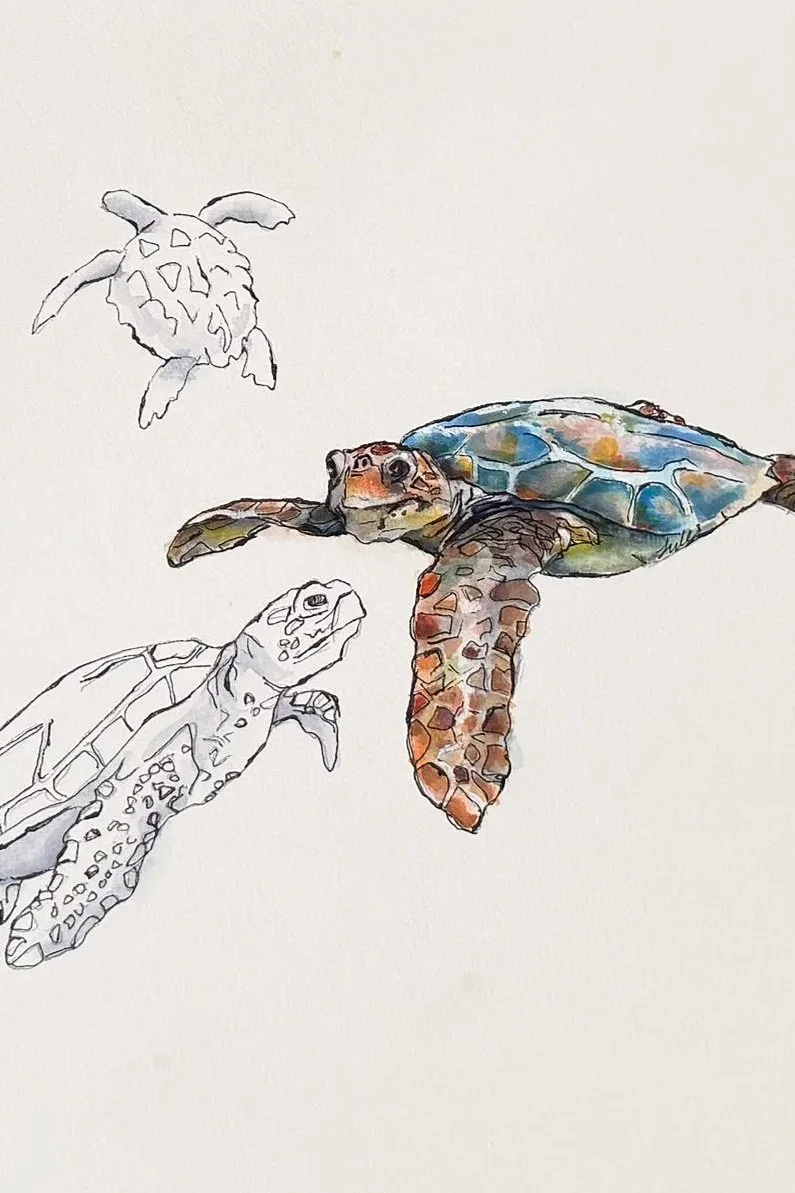 Turtles