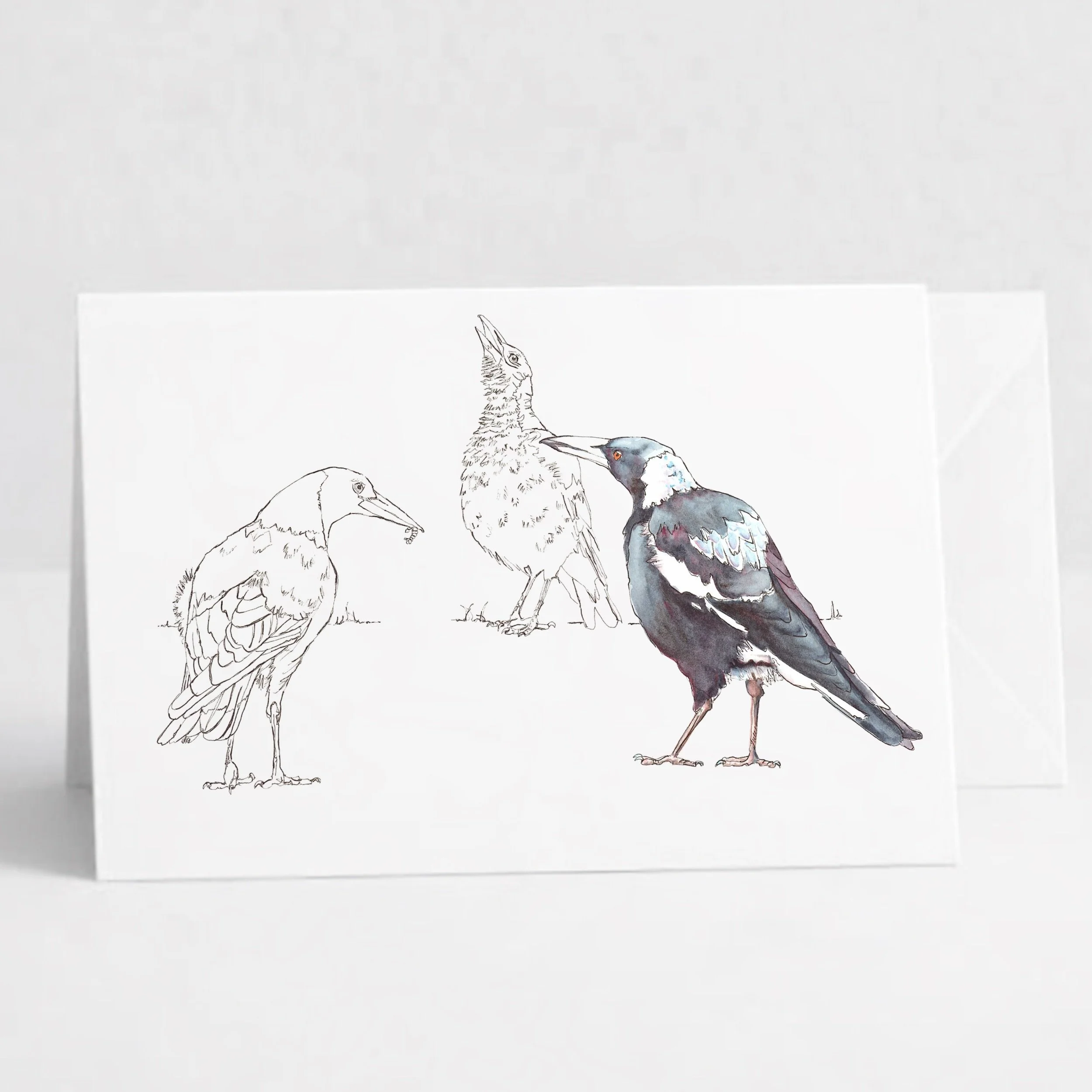 Magpies.jpeg