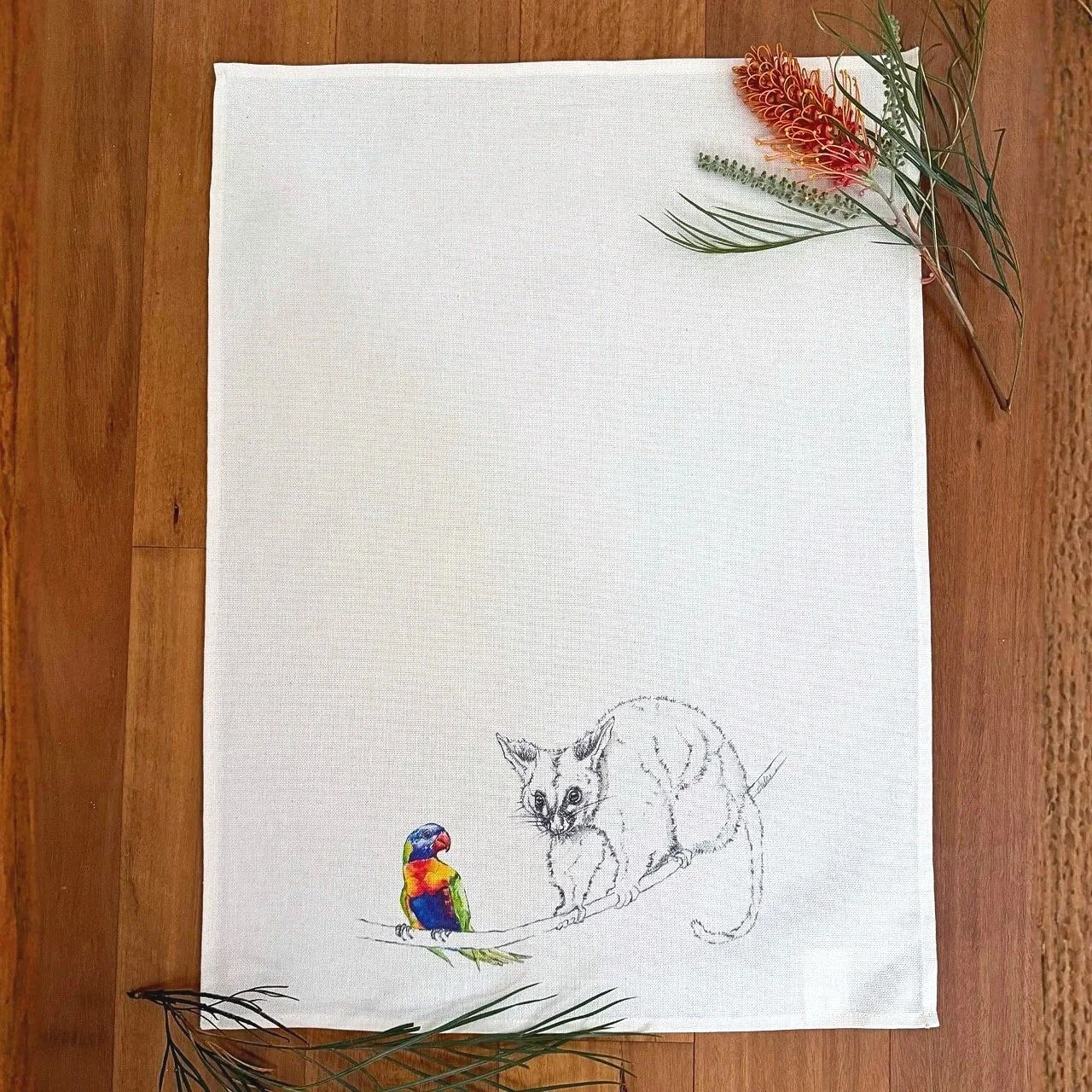 TT_Possum+and+Lorikeet+Large.jpg