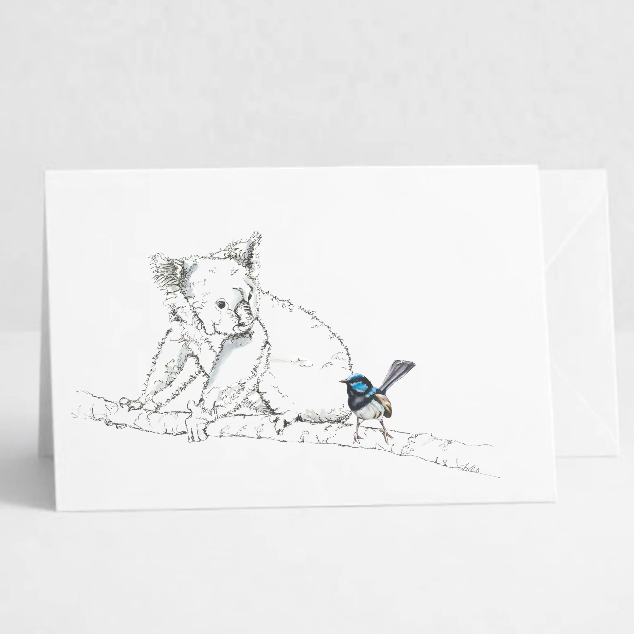 Koala and Wren.png
