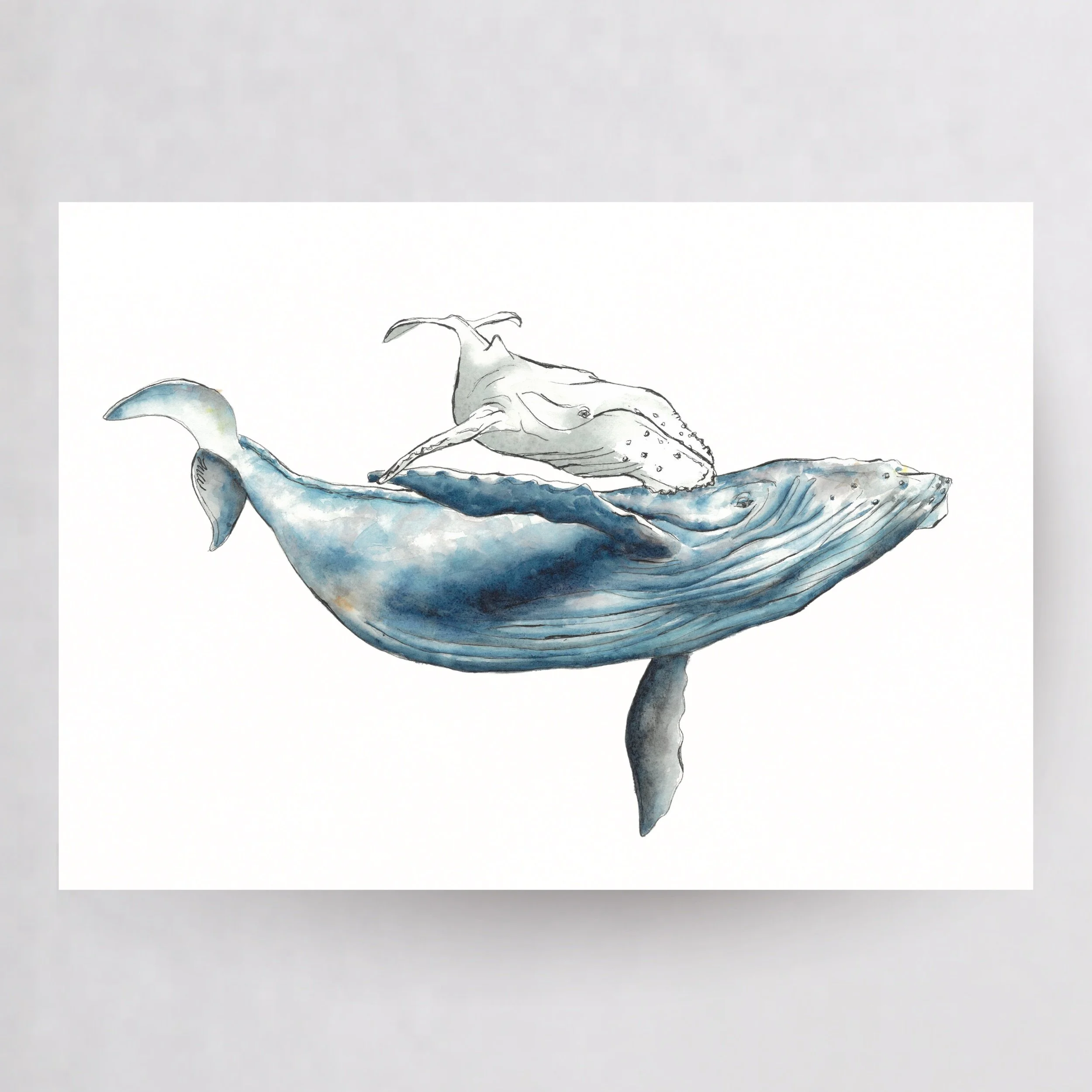 Whales_Print_.jpeg