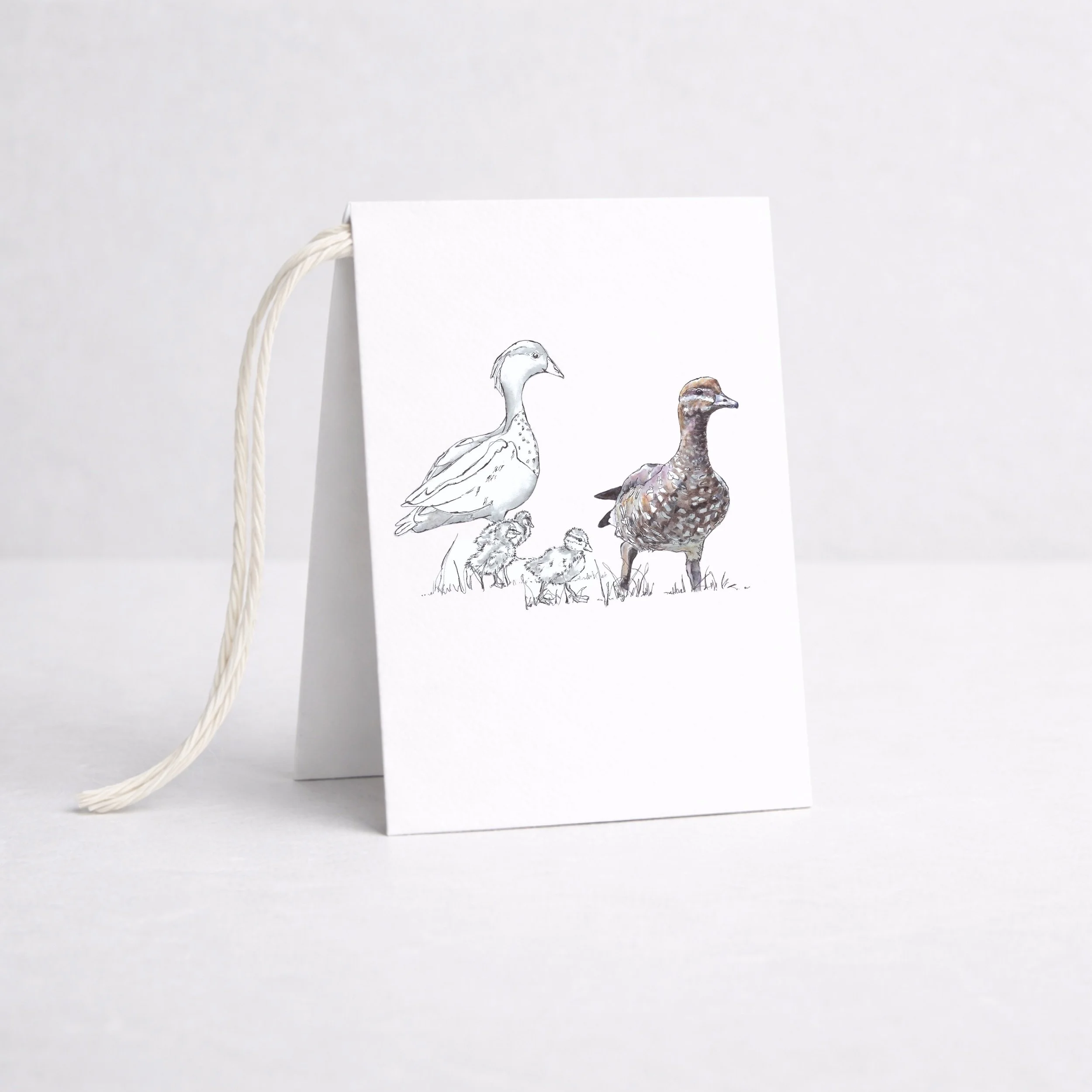 Tag_Wood Ducks.jpeg