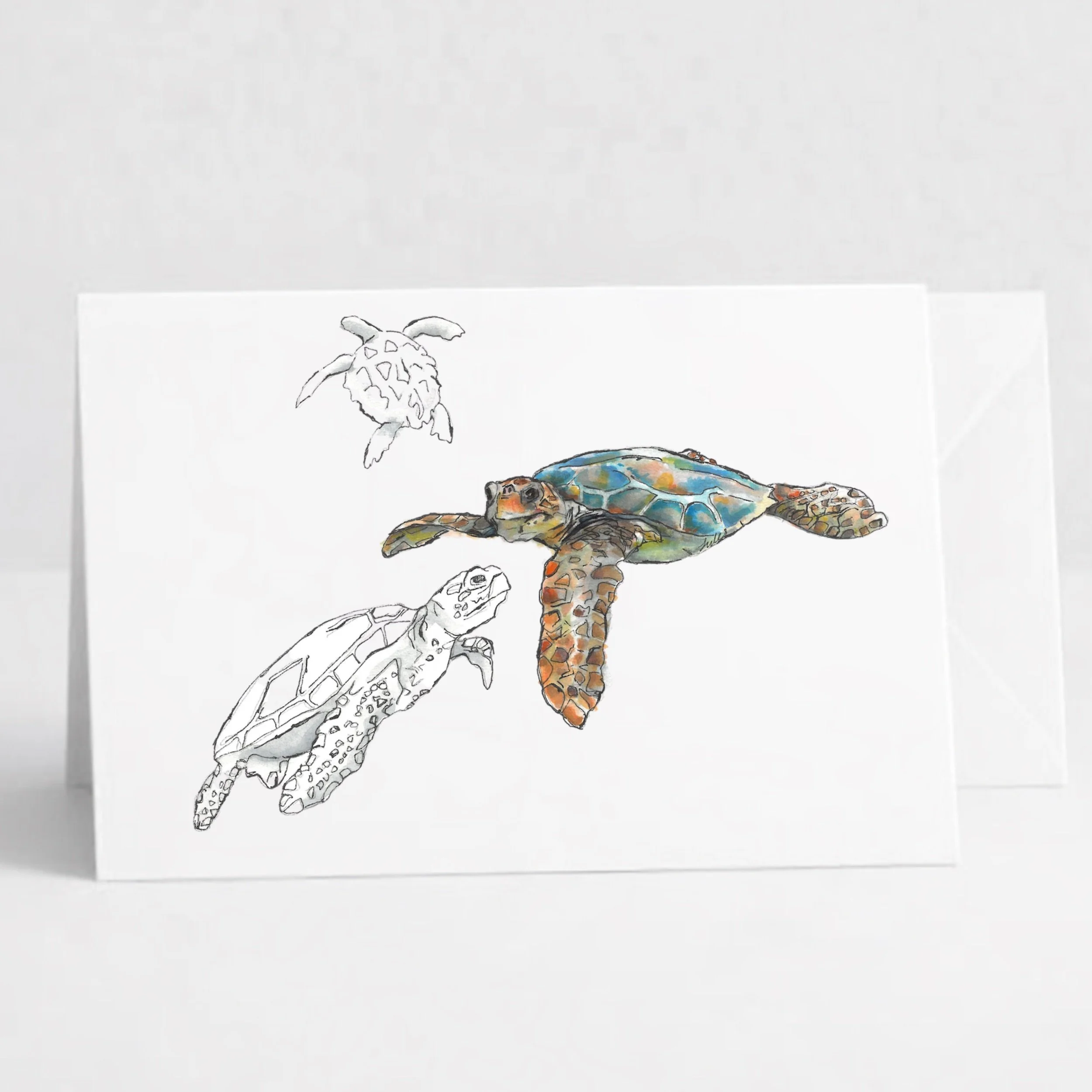 Turtles.jpeg