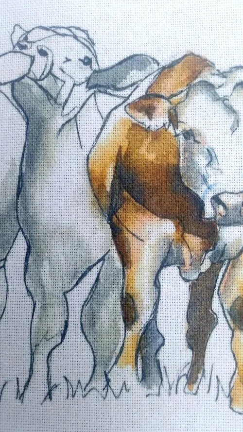 cow_closeup_TTweb.jpg