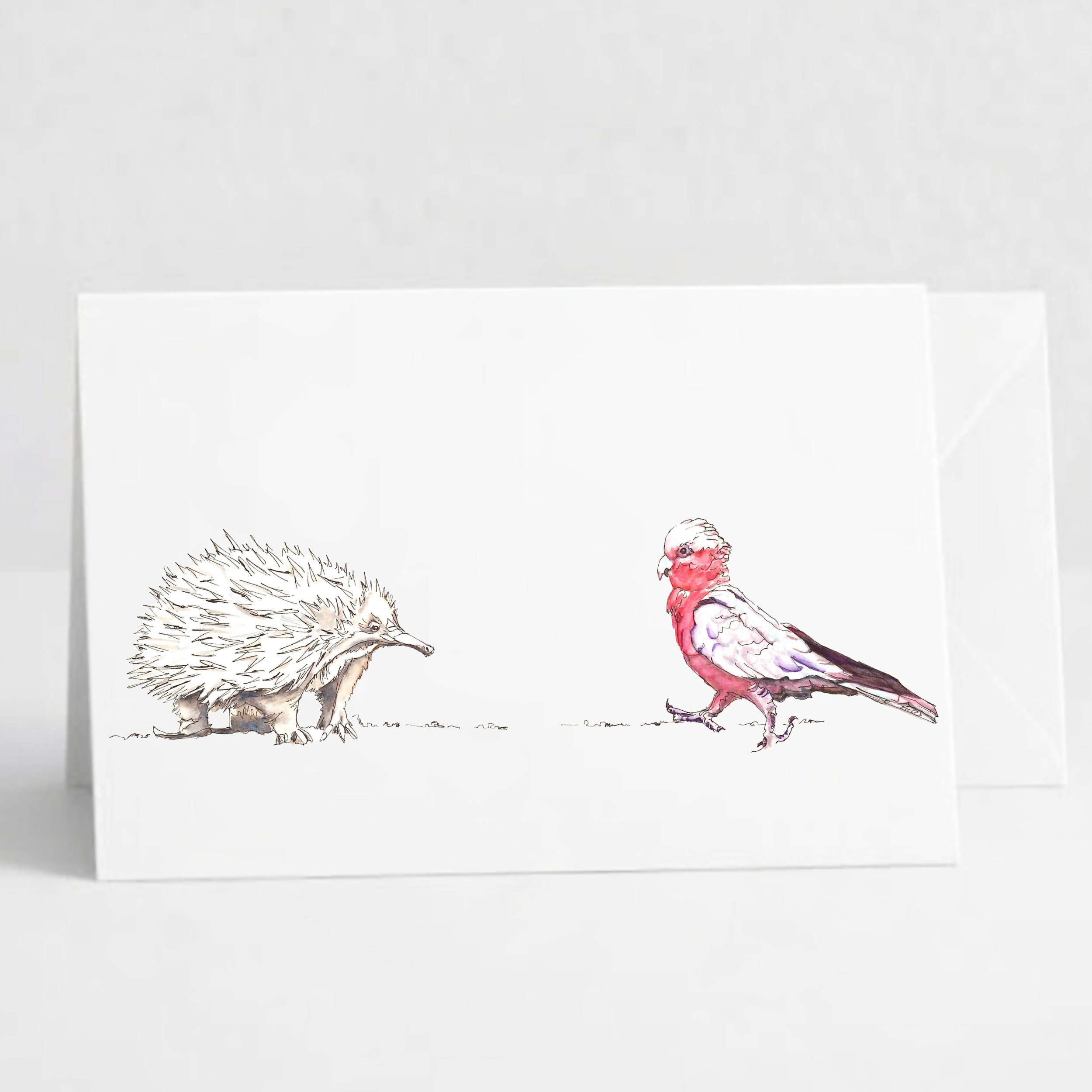 Echidna and Galah.png