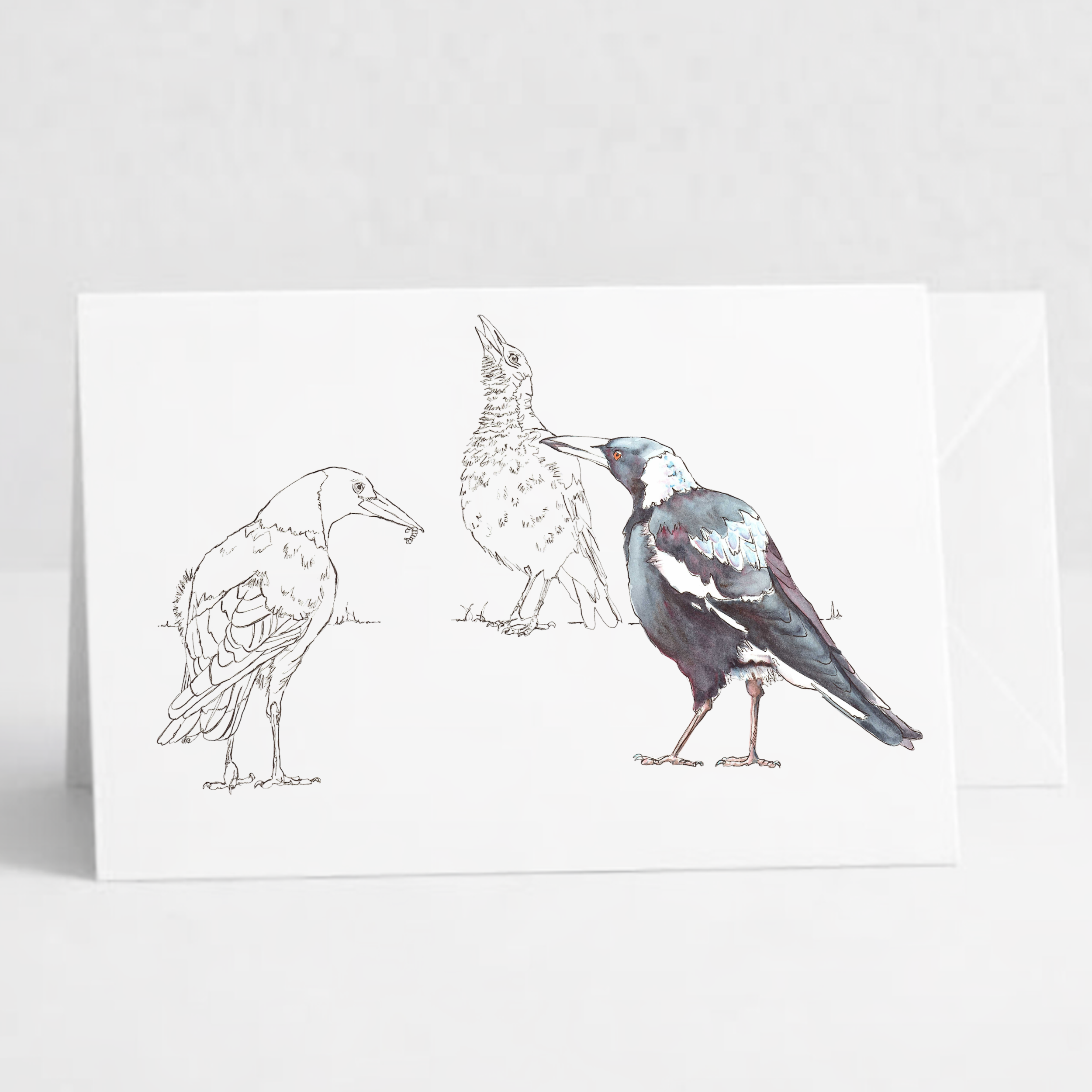 Magpies.png