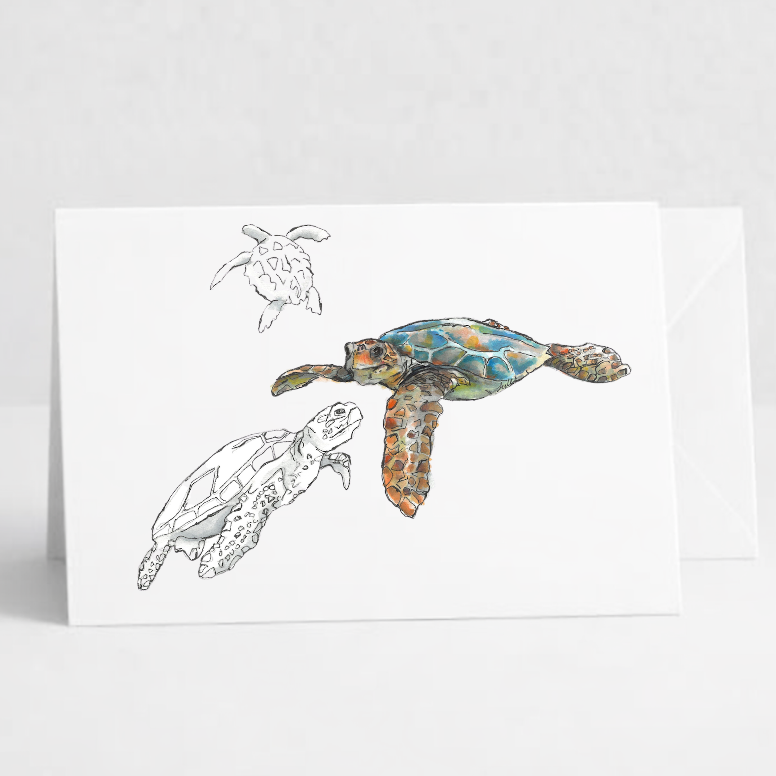 Turtles.png