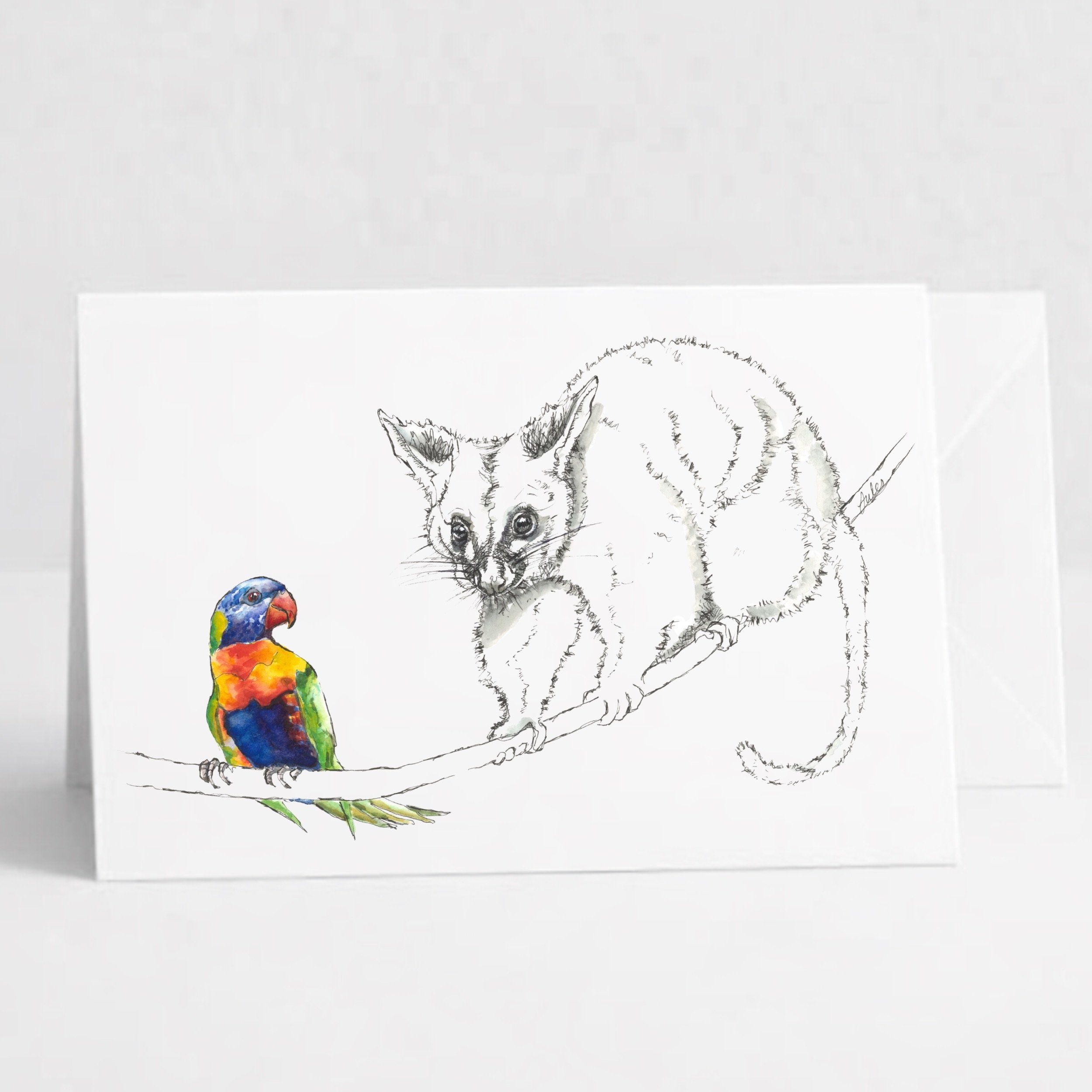 Possum and Lorikeet.jpeg