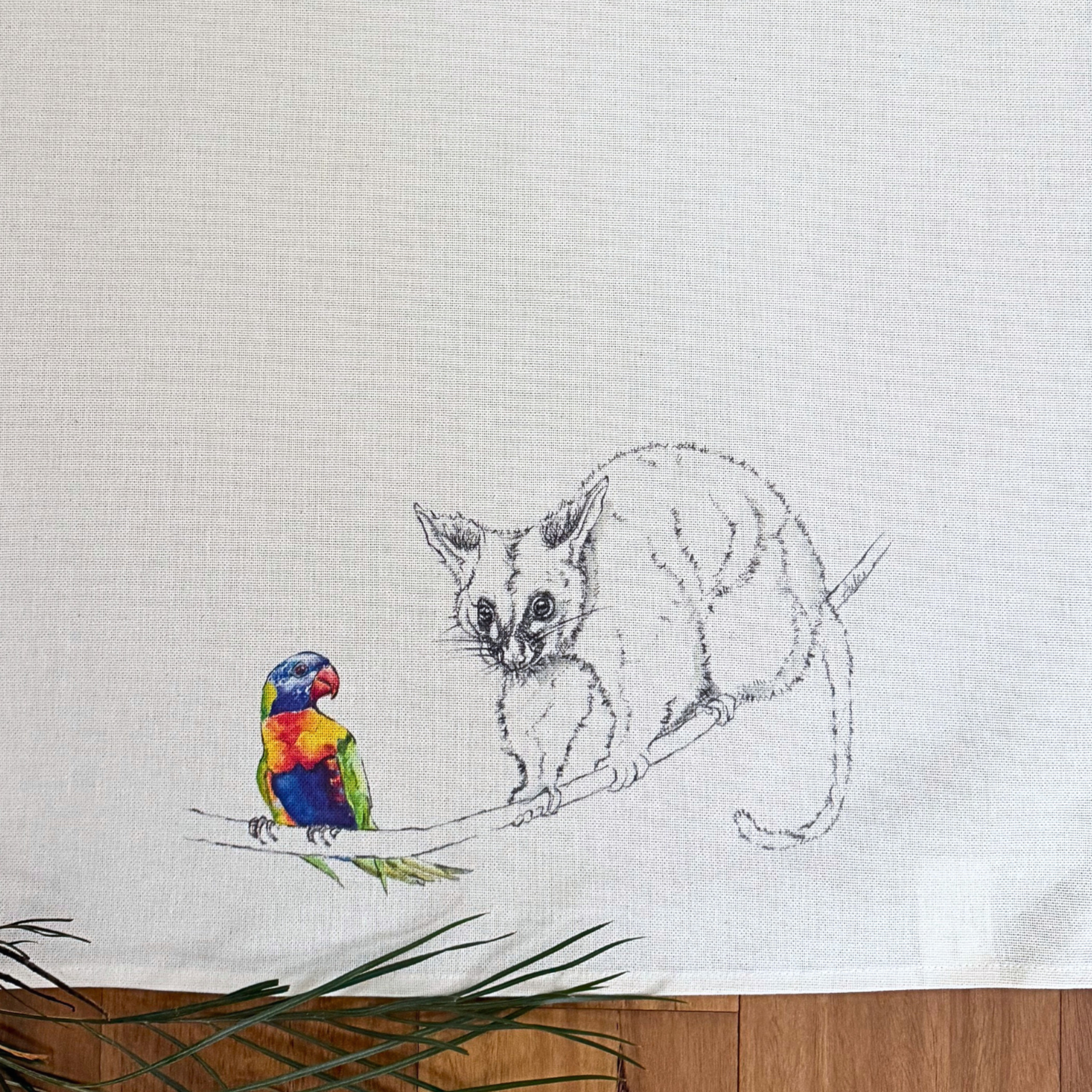 TT_Possum+and+Lorikeet+copy.png