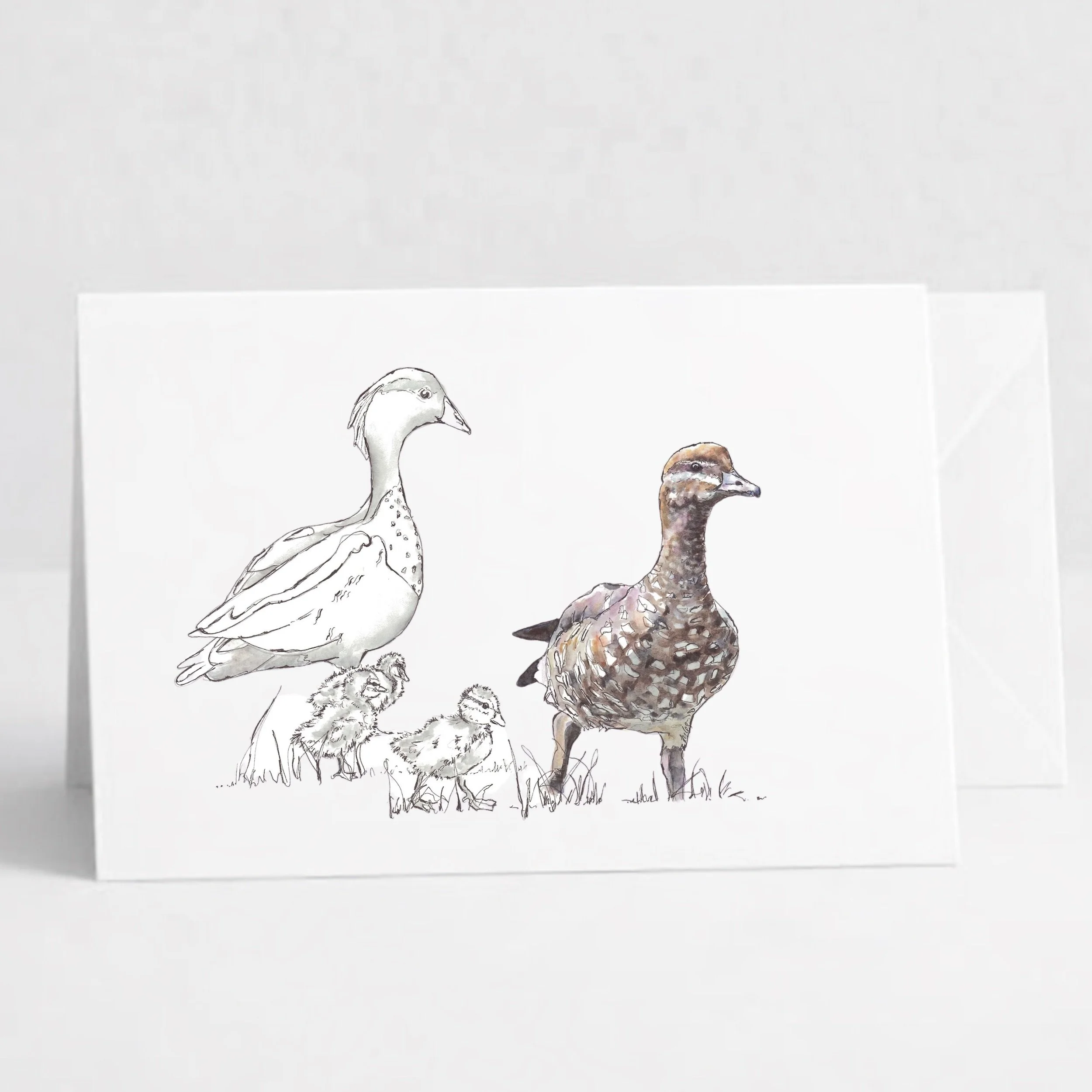 Wood Ducks.jpeg