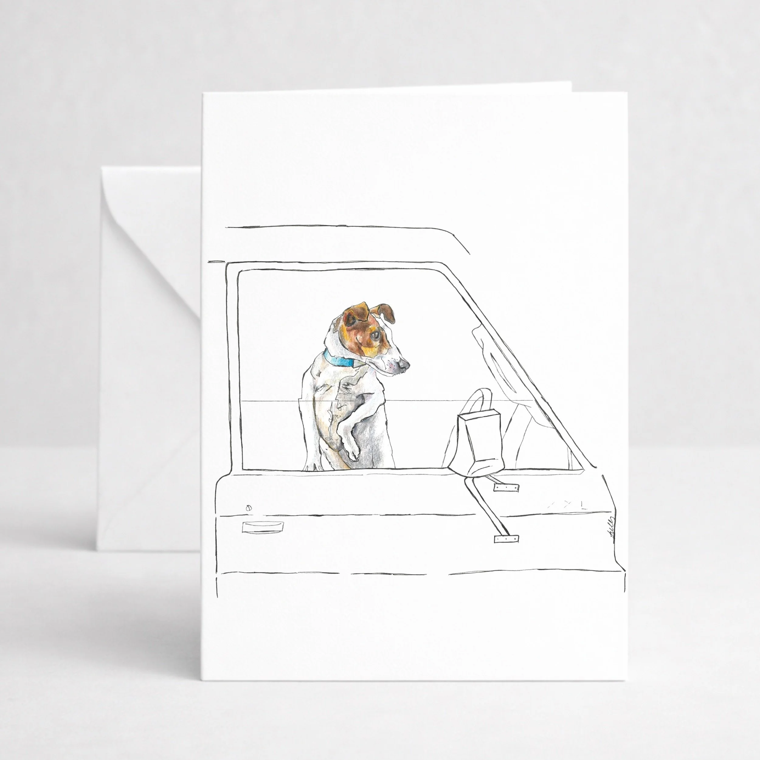 Jack Russell in Ute.jpeg