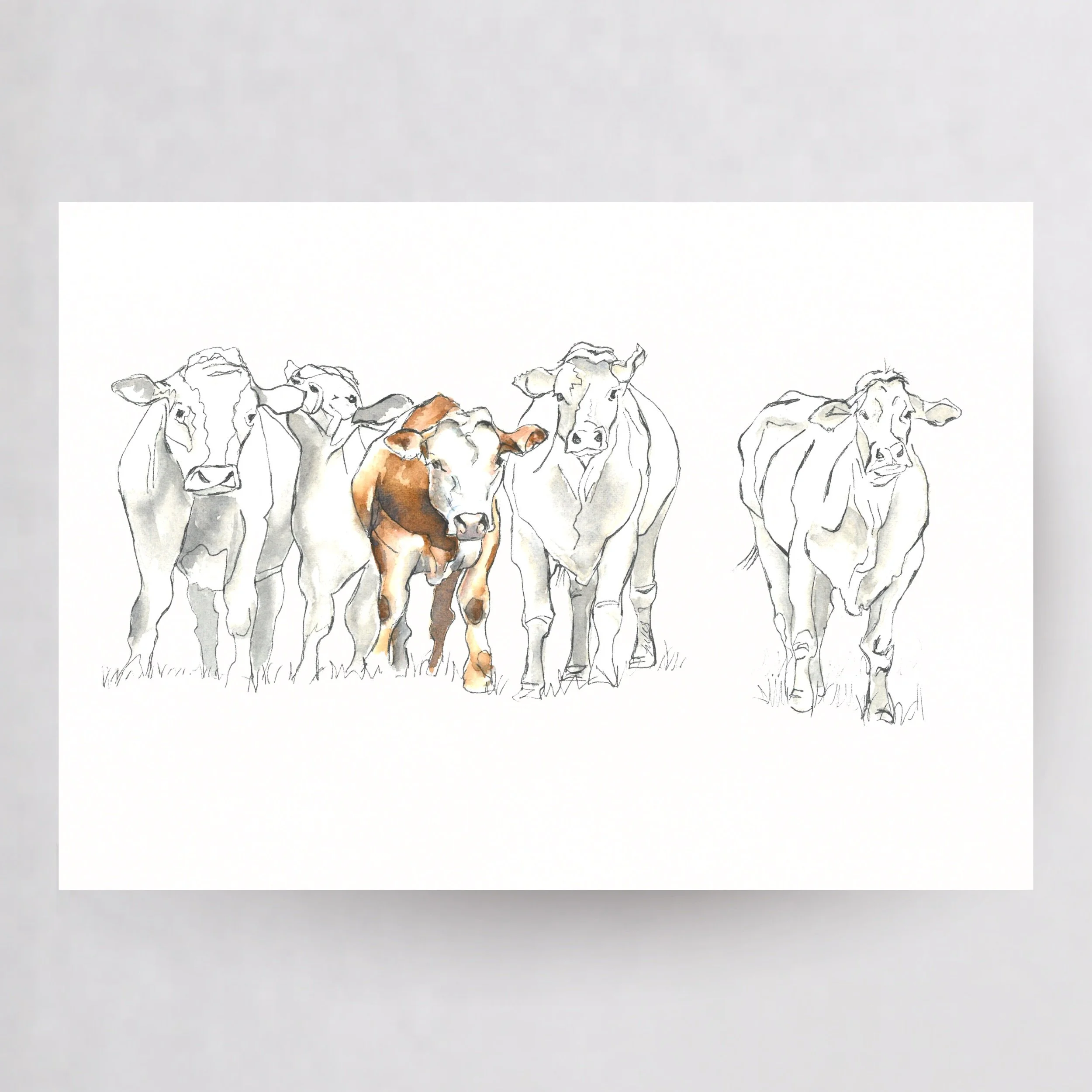 Cow Herd_Print_.jpeg