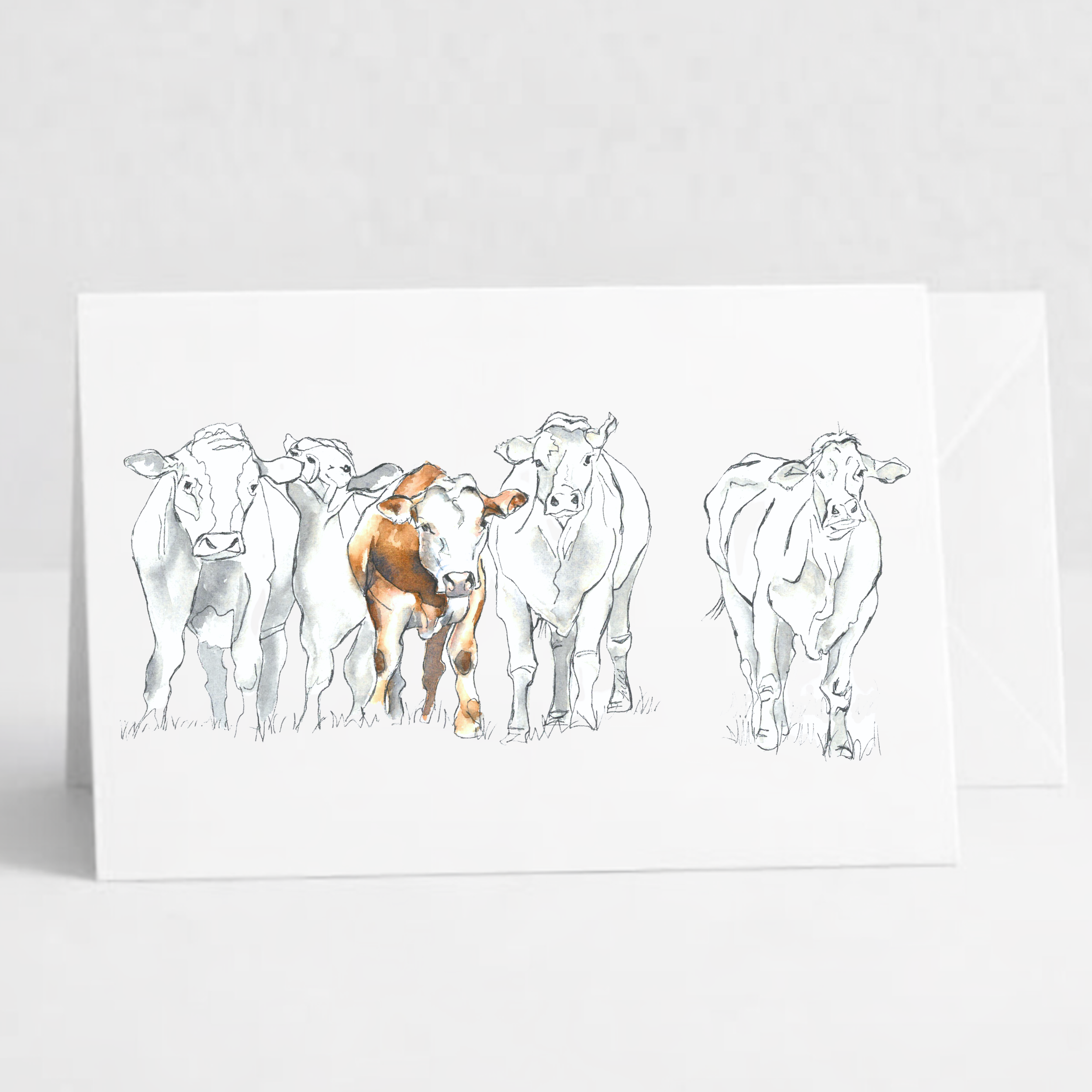 Cow Herd.png