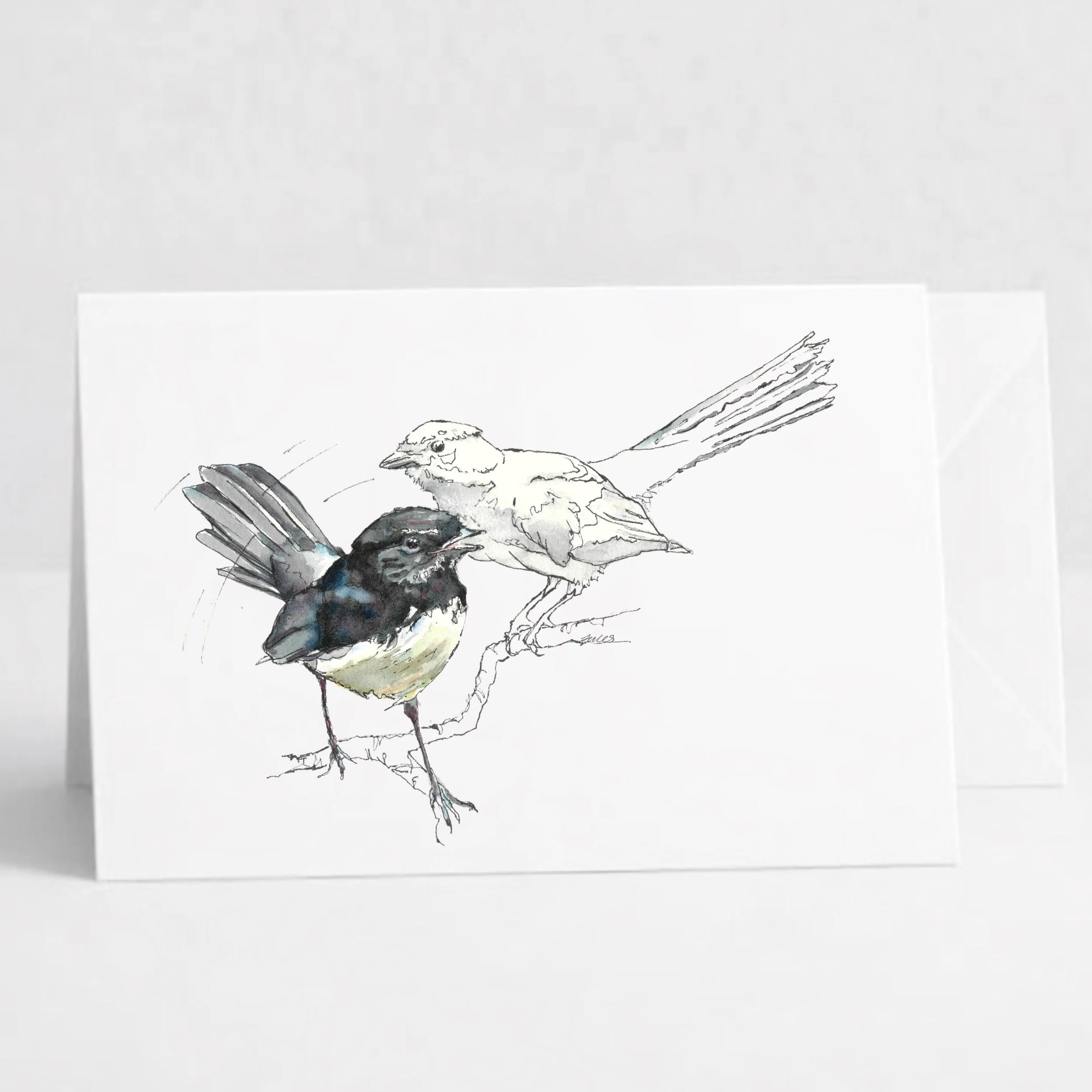 Willy Wagtails.jpeg