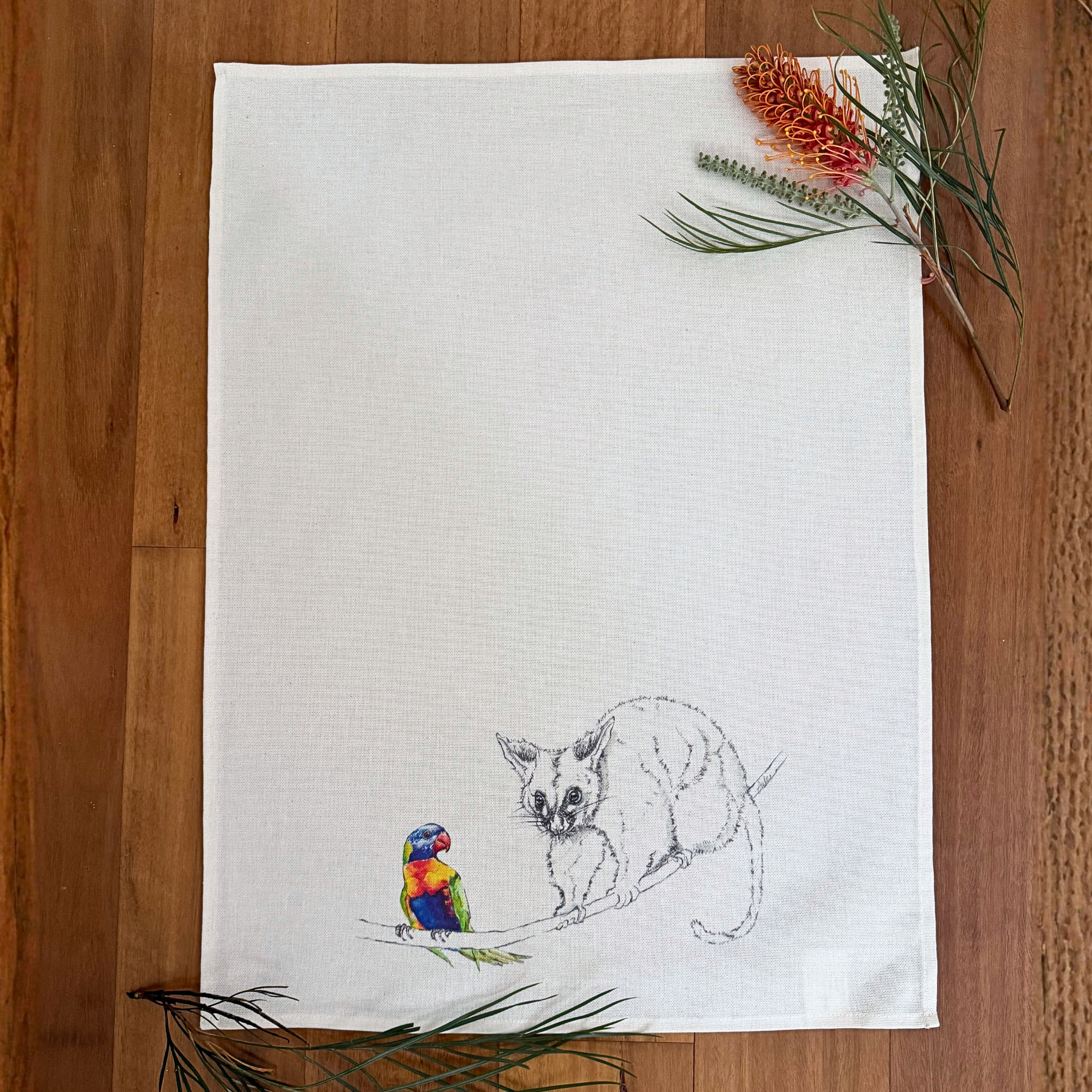 TT_Possum and Lorikeet.png