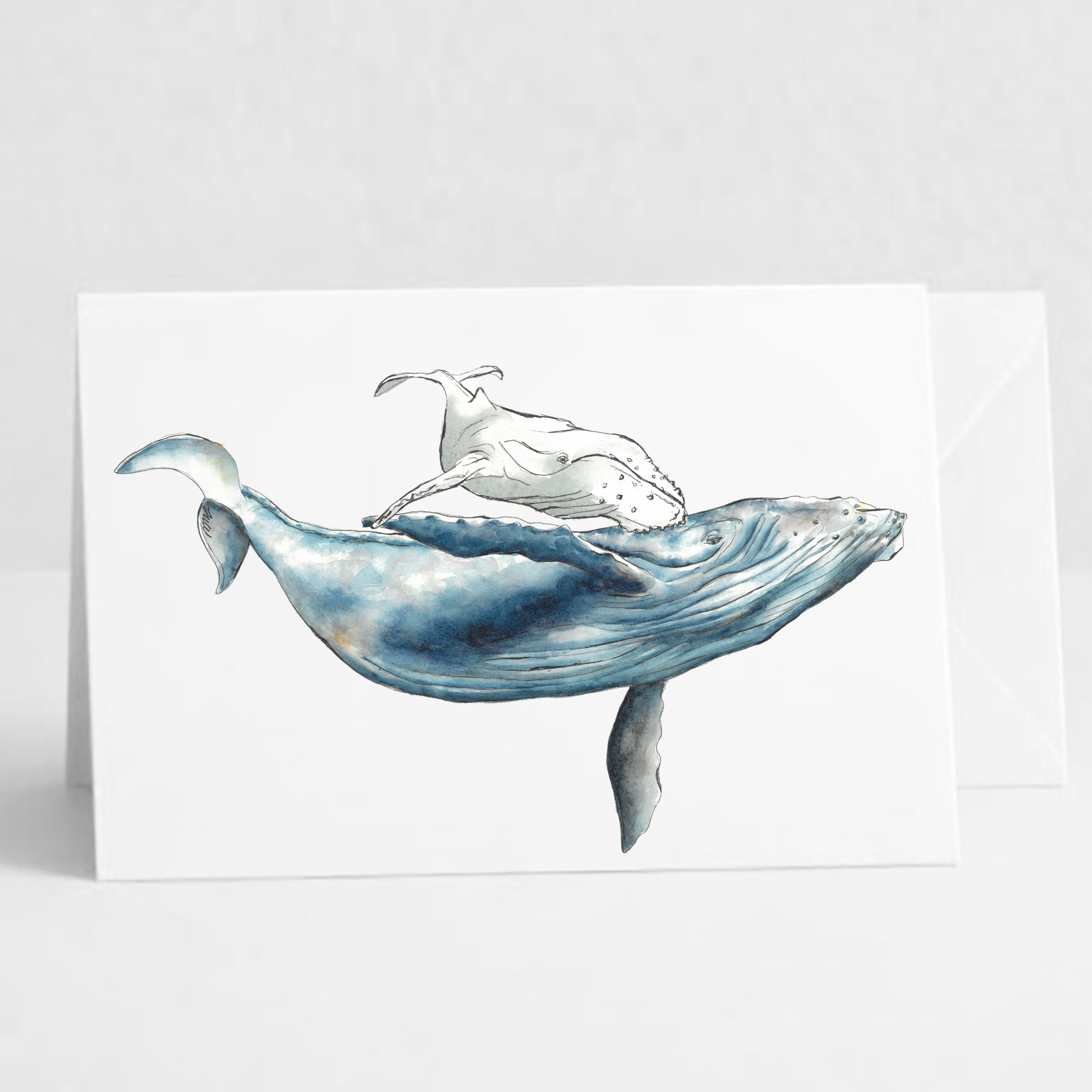 Whales.png