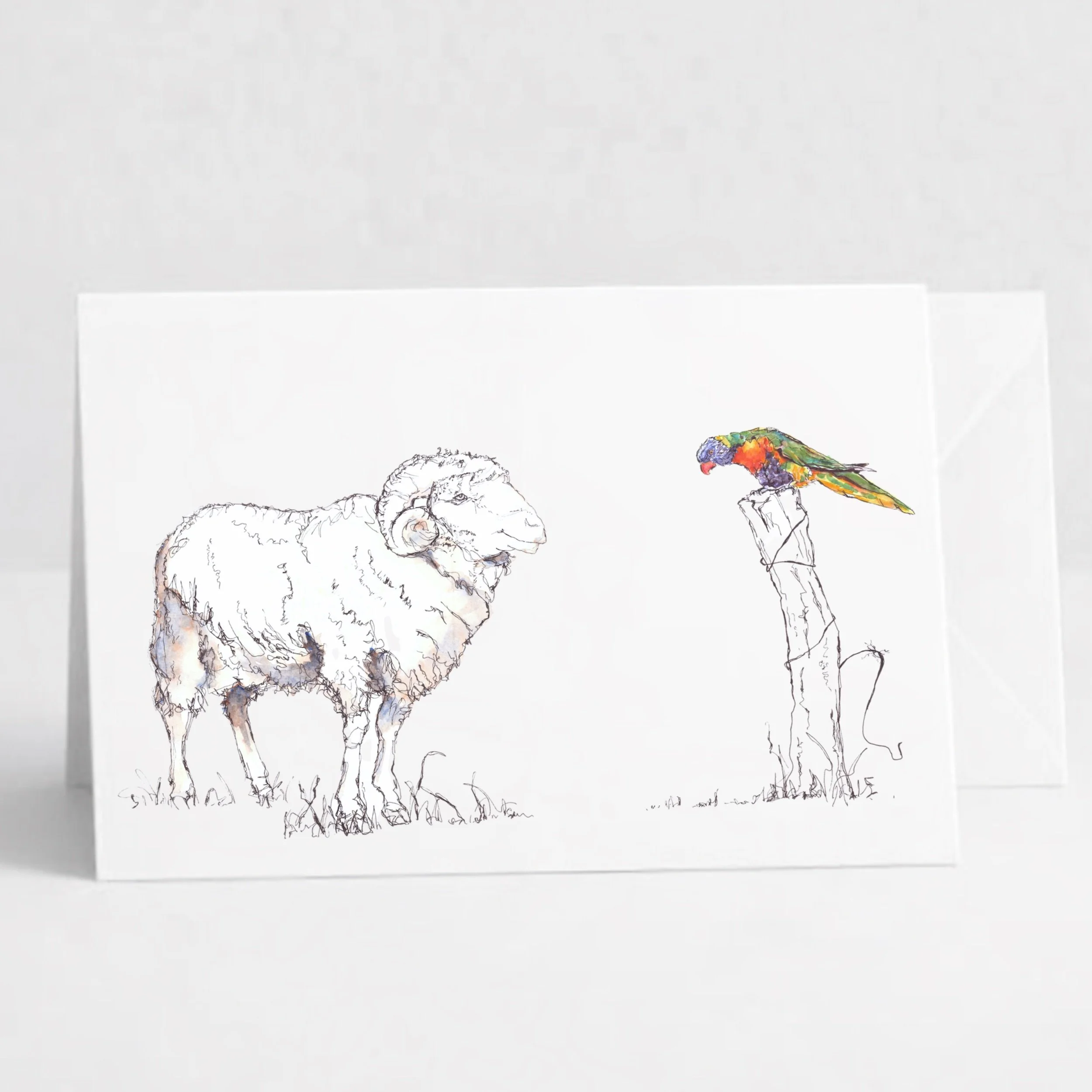 Sheep and Lorikeet.jpeg