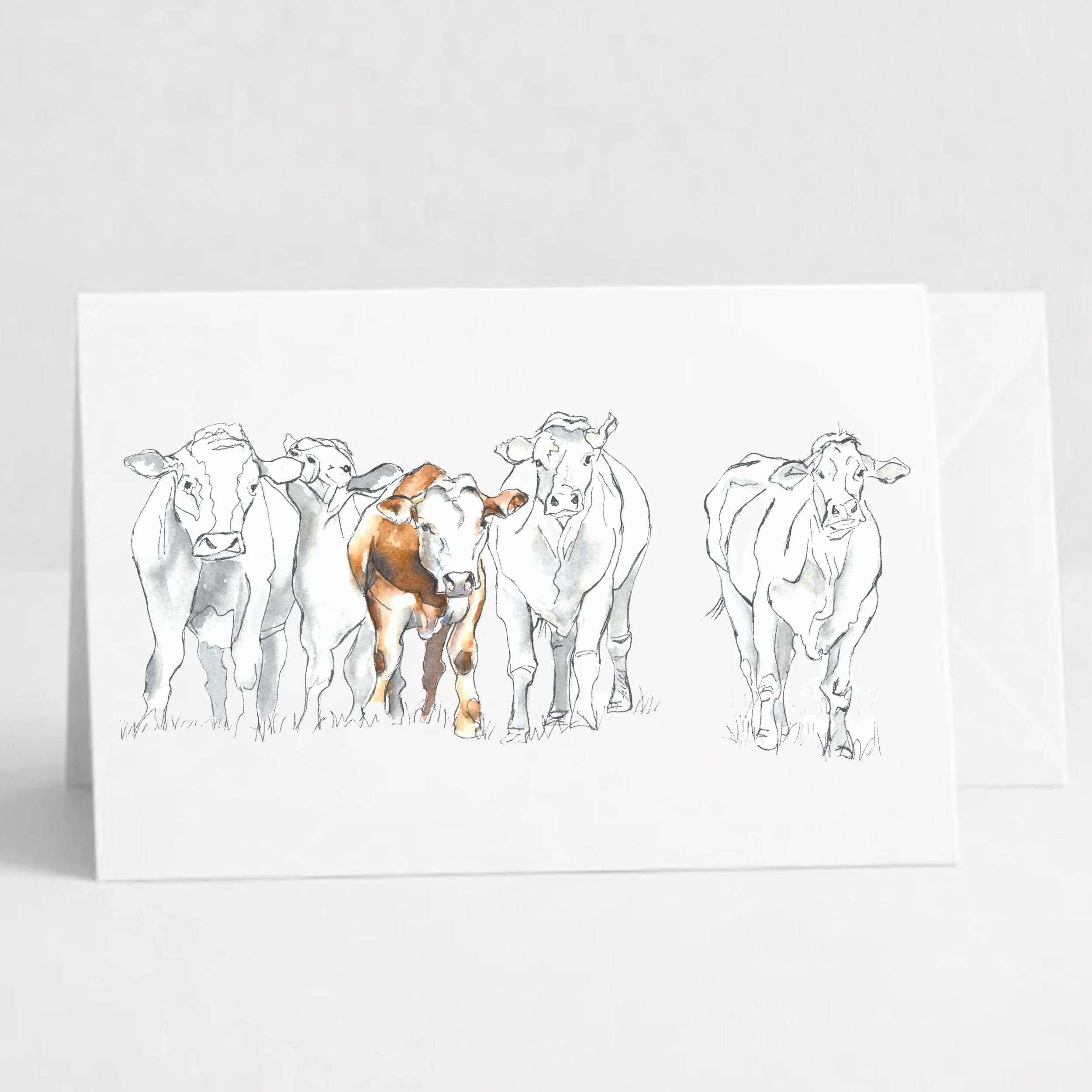 Cow Herd.jpeg