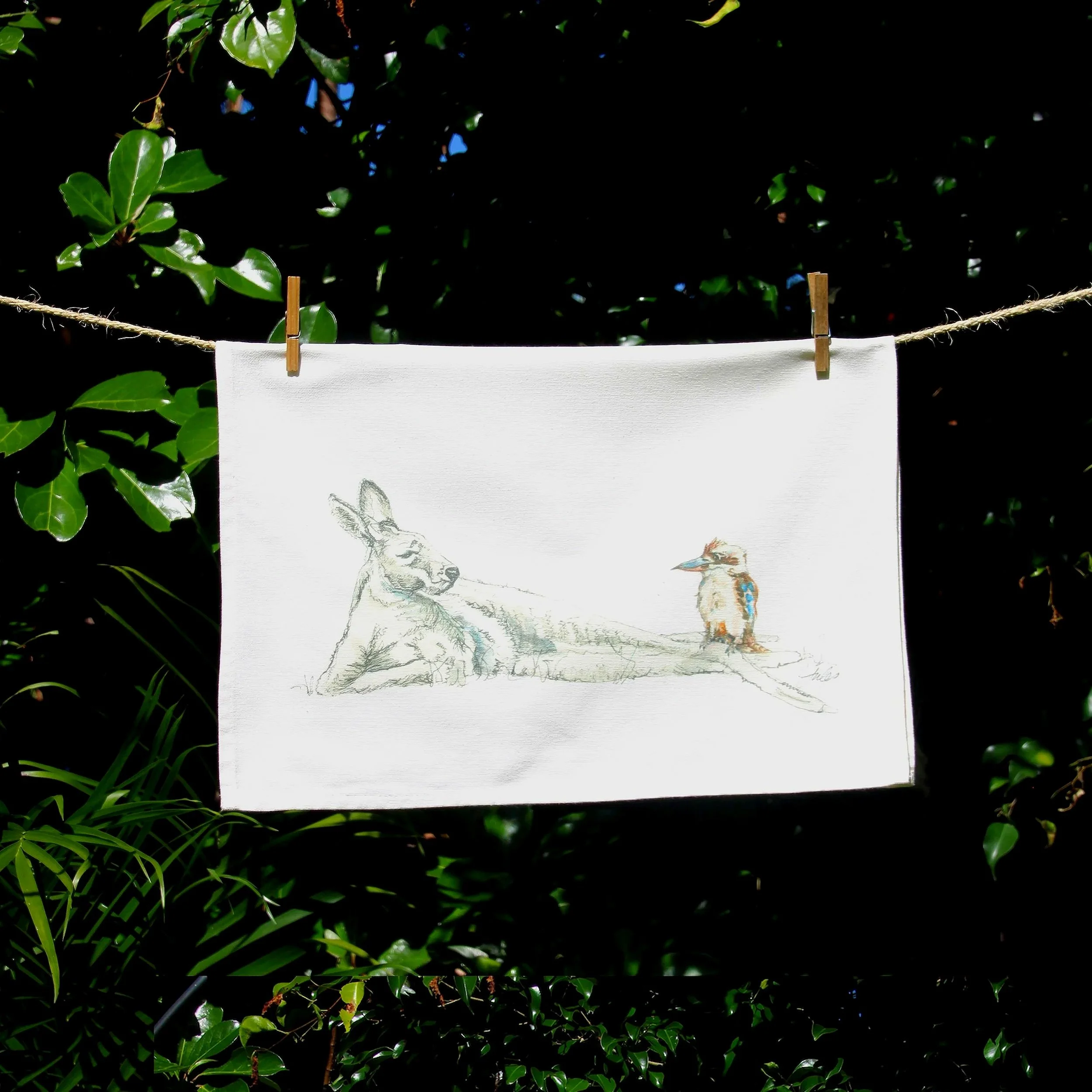 72_DPI_Kangaroo_and_Kookaburra_Half.jpg