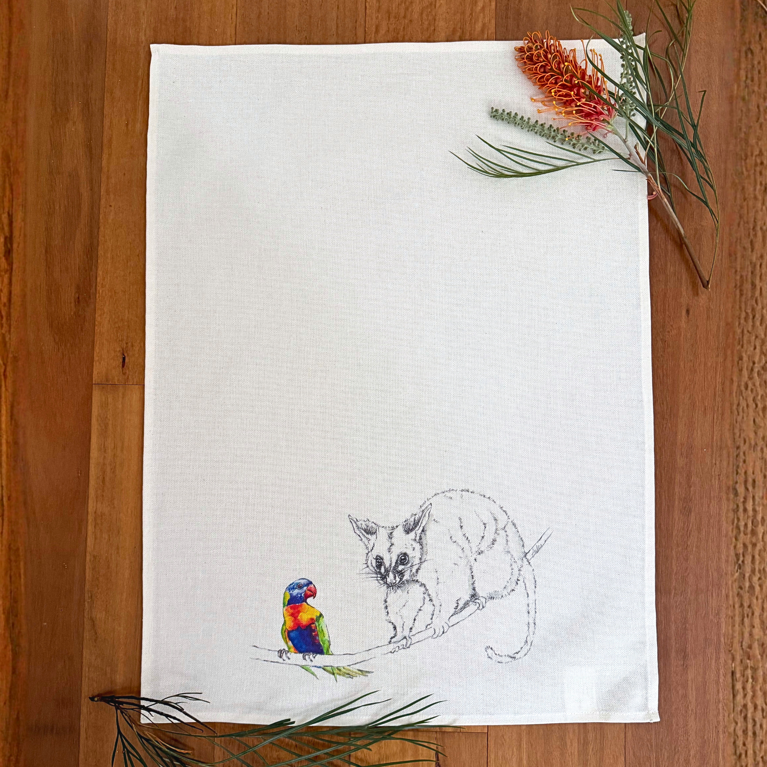 TT_Possum+and+Lorikeet.png