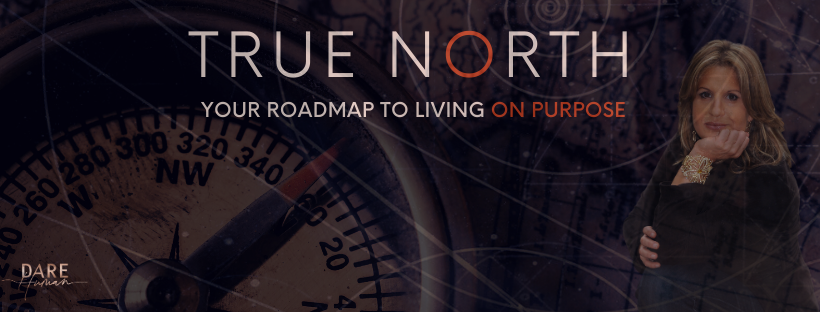 Truth North Banner Size.png