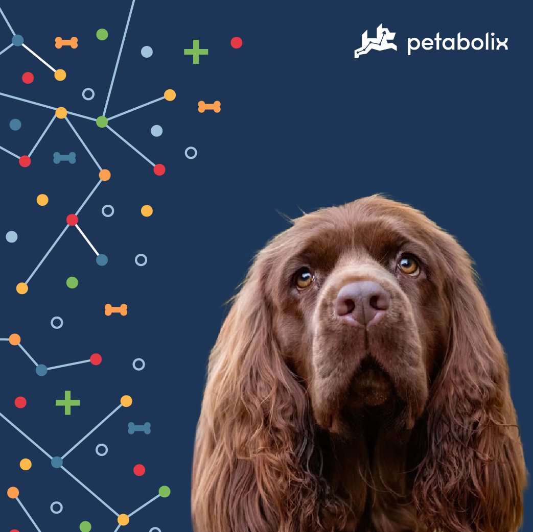 What are the Best Dog Foods for the Sussex Spaniel?