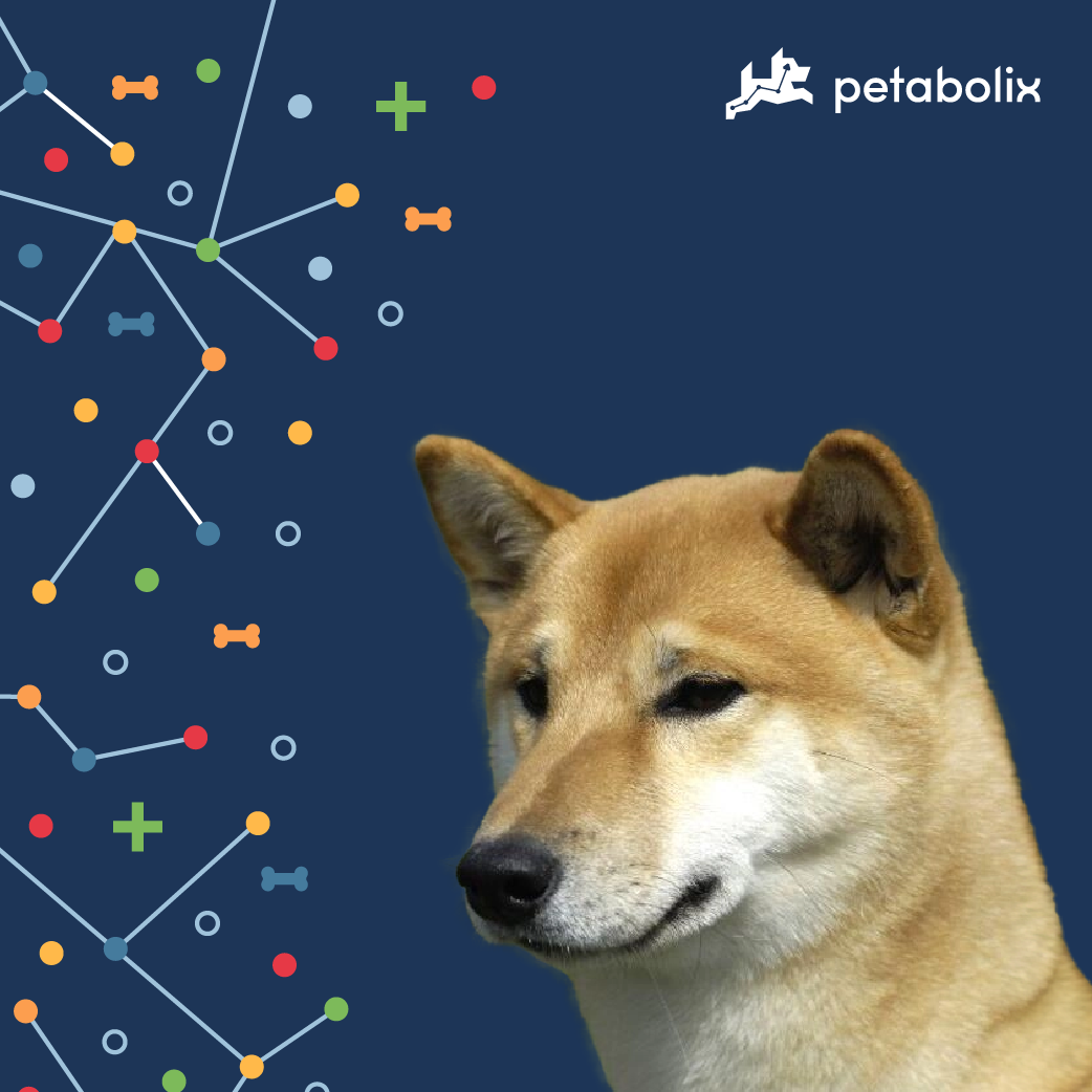 What are the Best Dog Foods for the Canaan Dog?