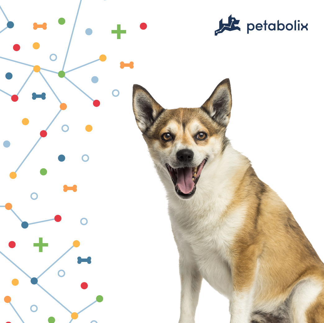 What are the Best Dog Foods for the Norwegian Lundehund?