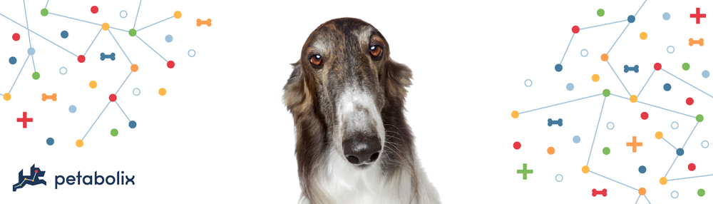 Borzoi image